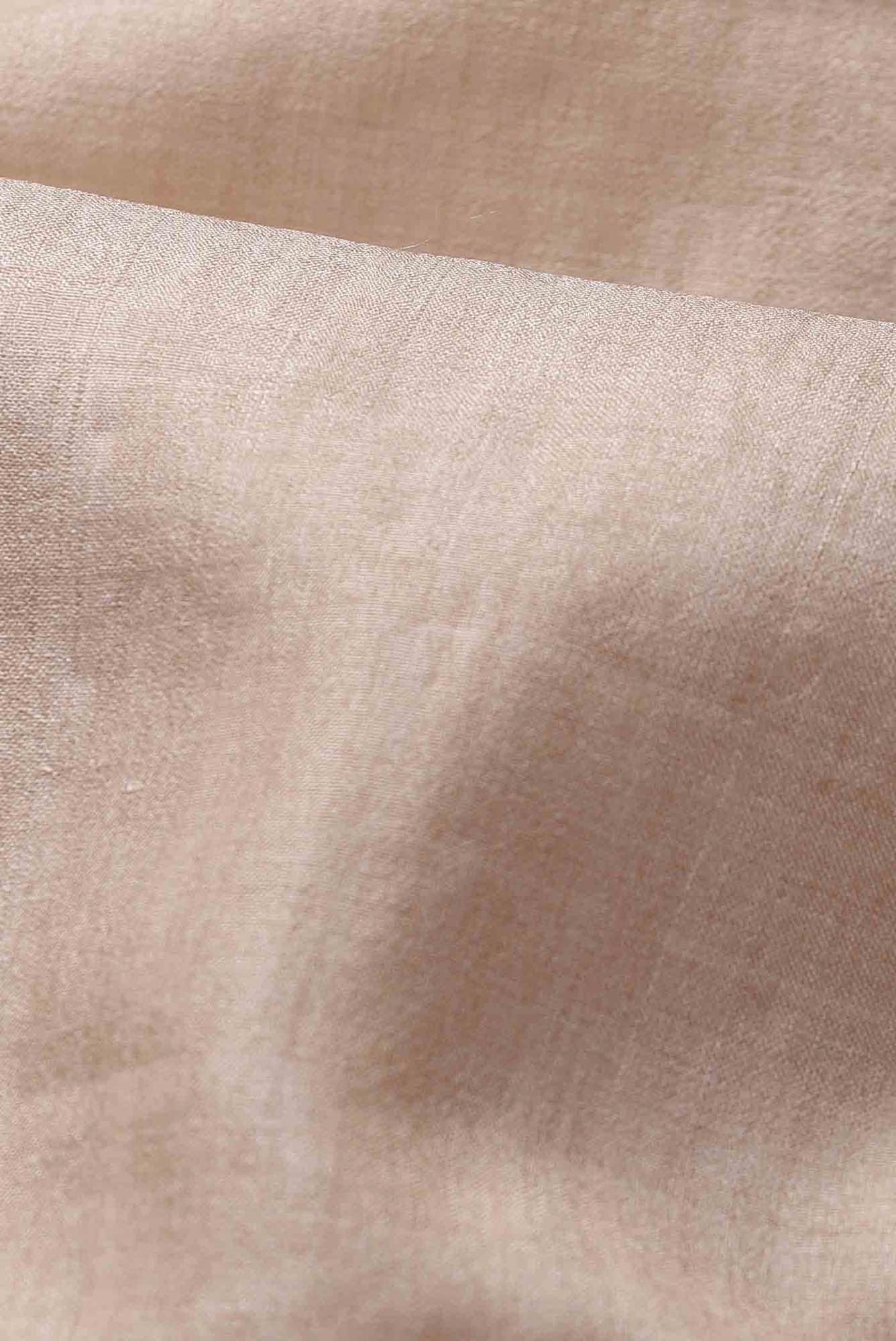 Beige Bhagalpuri Tussar Silk Saree