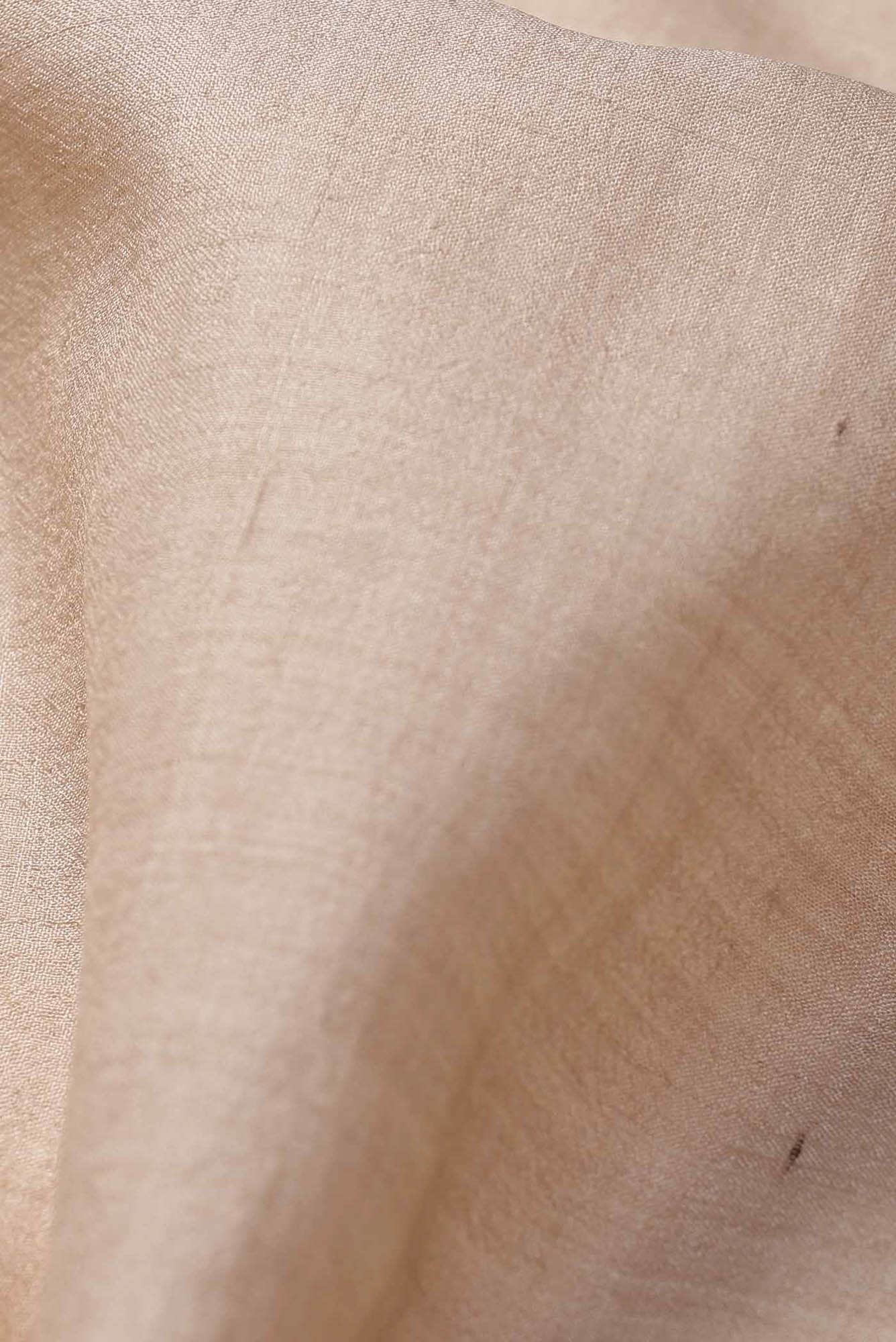Beige Bhagalpuri Tussar Silk Saree