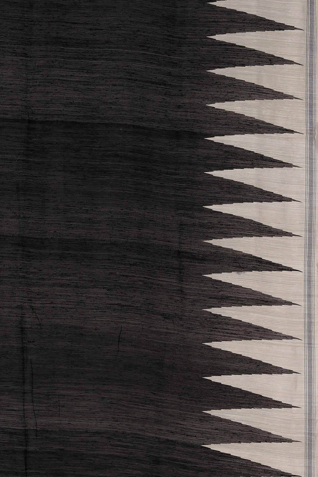 Black Bhagalpuri Tussar Silk Saree