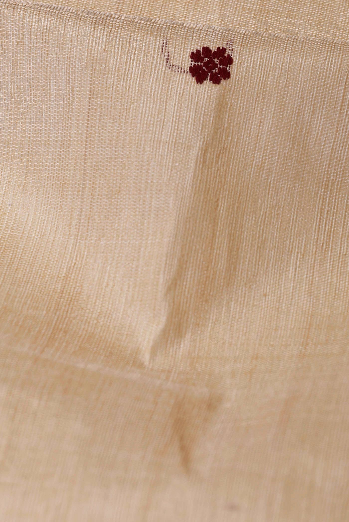 Cream Tussar Saree