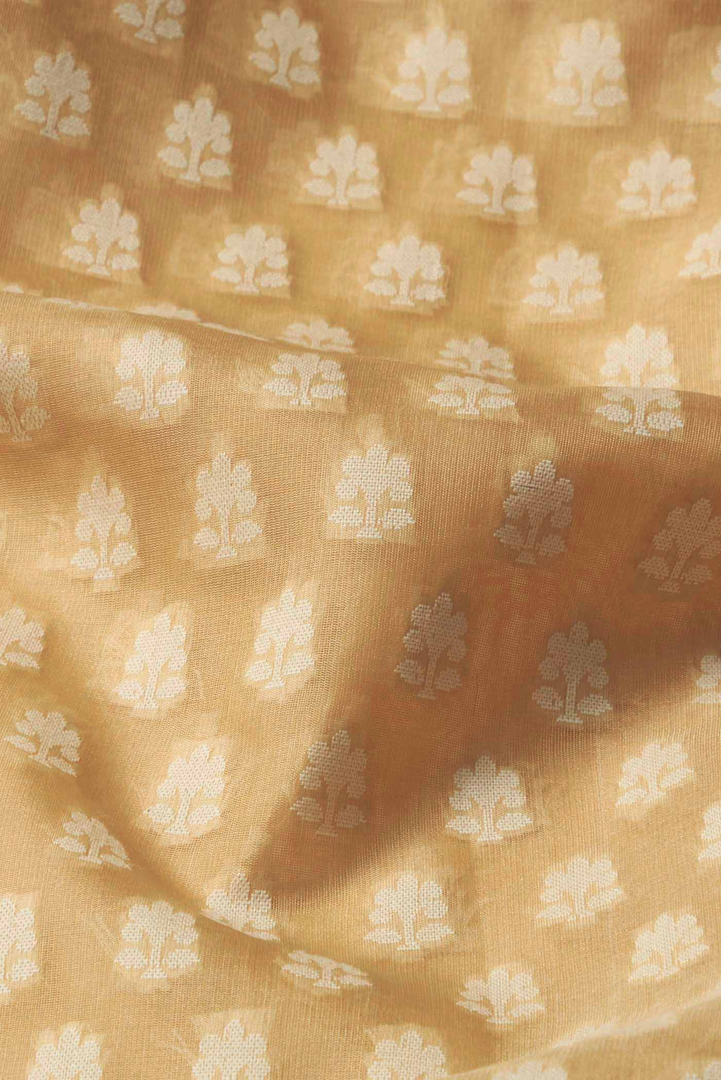 Beige Banarasi Silk Saree