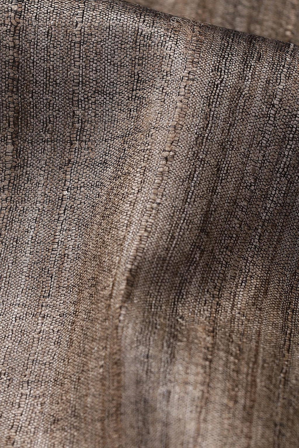 Beige Bhagalpuri Tussar Silk Saree