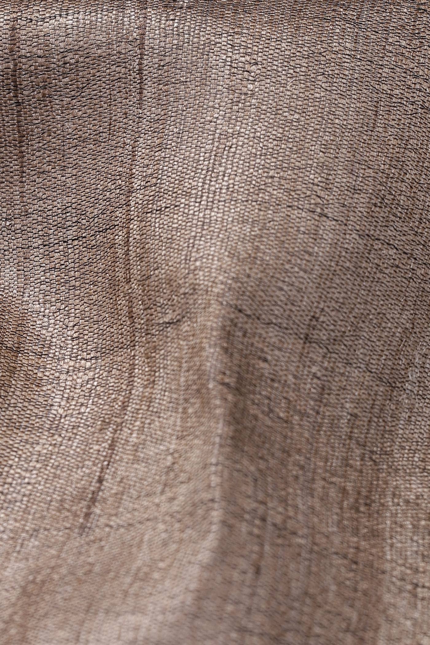 Beige Bhagalpuri Tussar Silk Saree