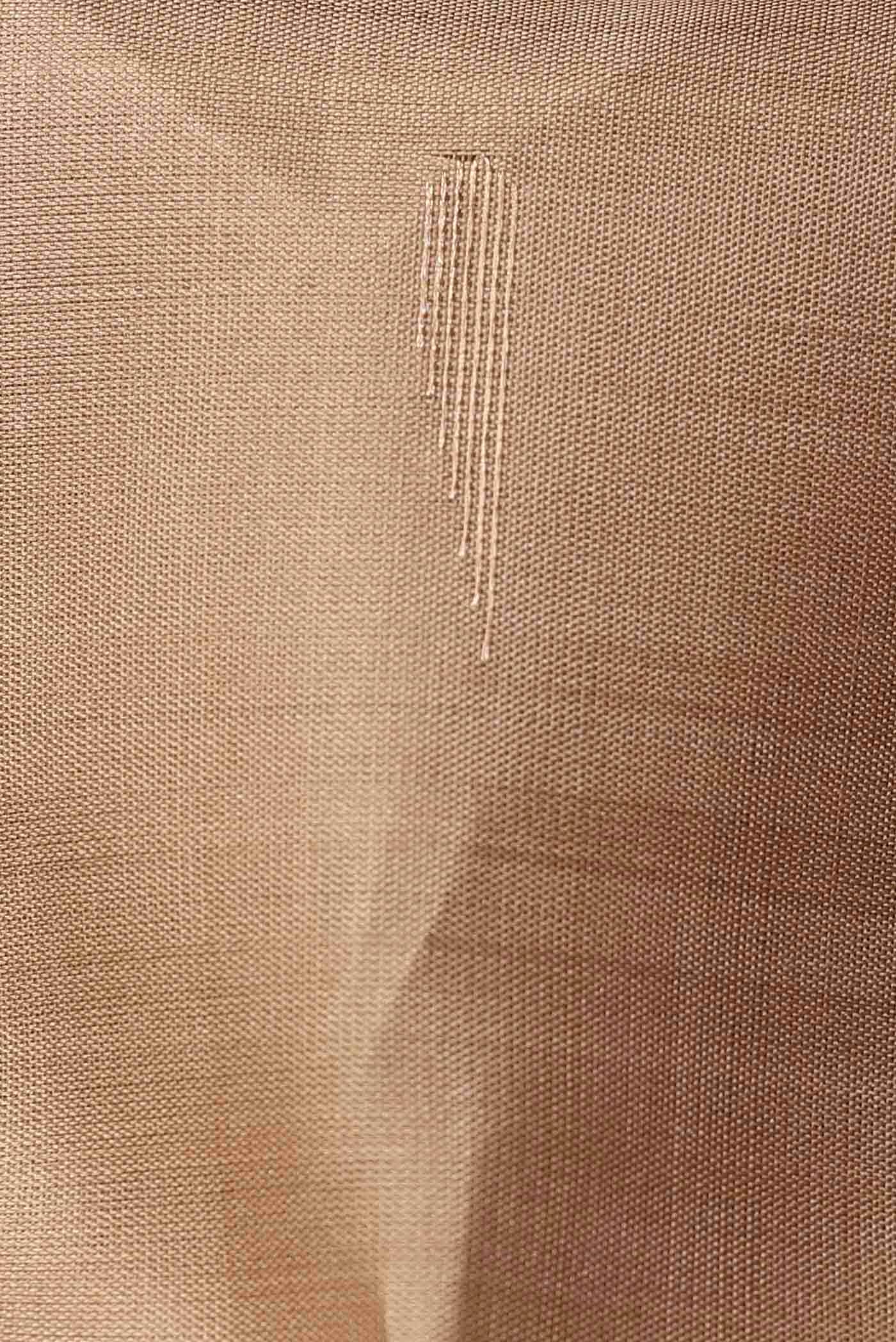 Beige Soft Silk Saree