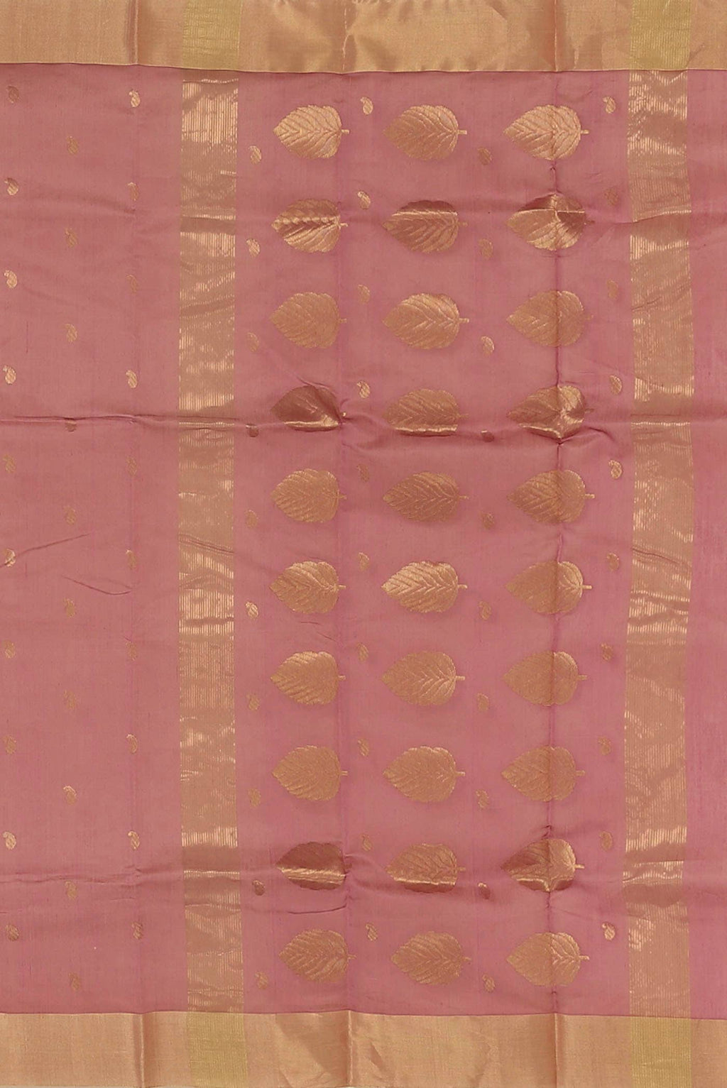 Coral Chanderi Silk Cotton Saree