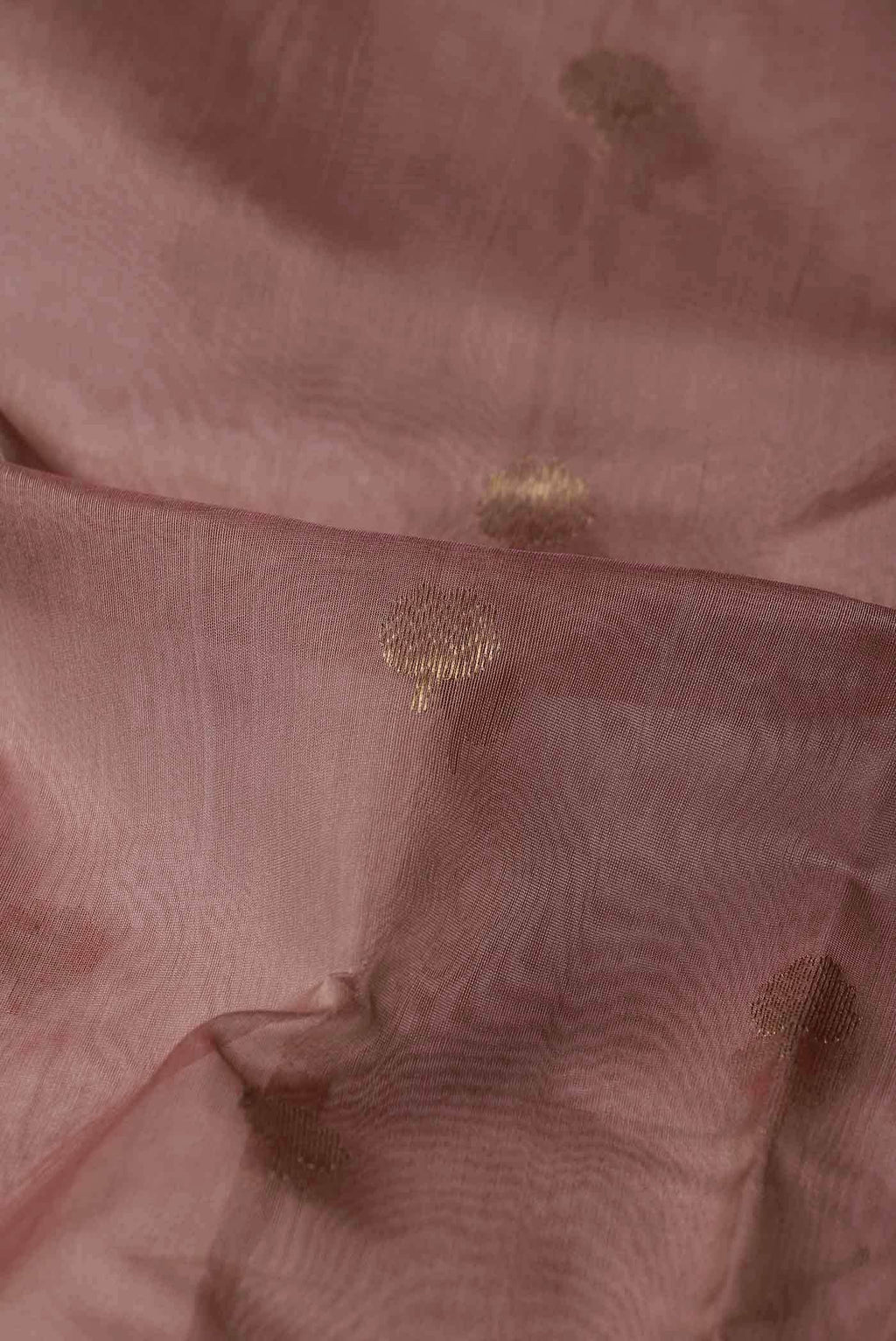 Beige Silk Cotton Saree