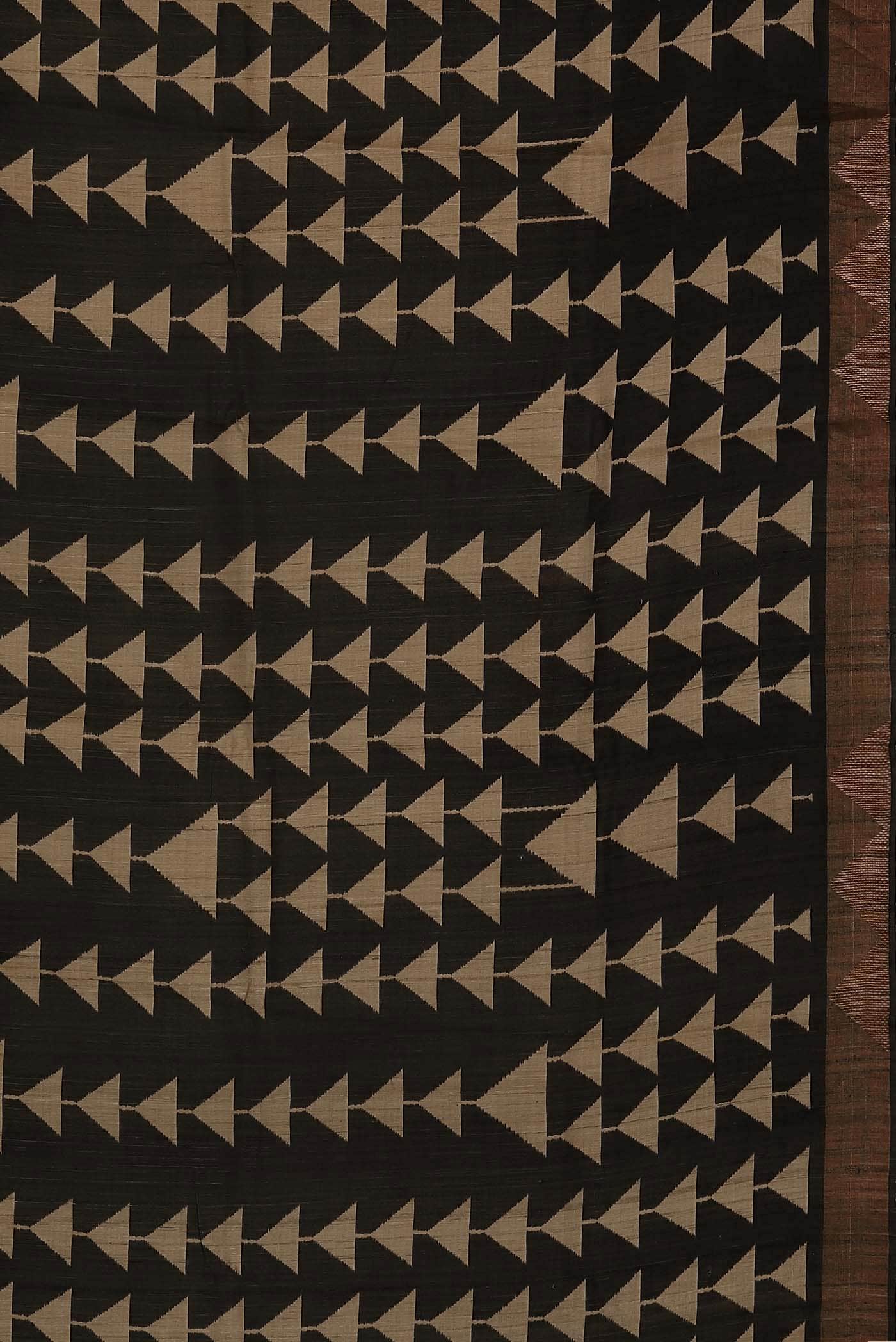 Black Bhagalpuri Tussar Silk Saree