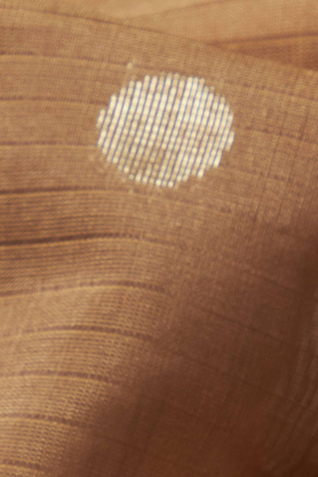 Beige Silk Cotton Saree