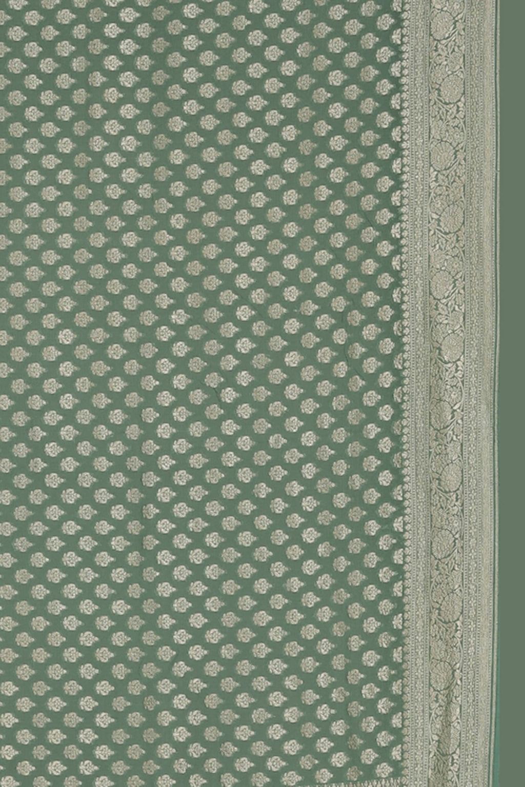 Green Banarasi Georgette Saree