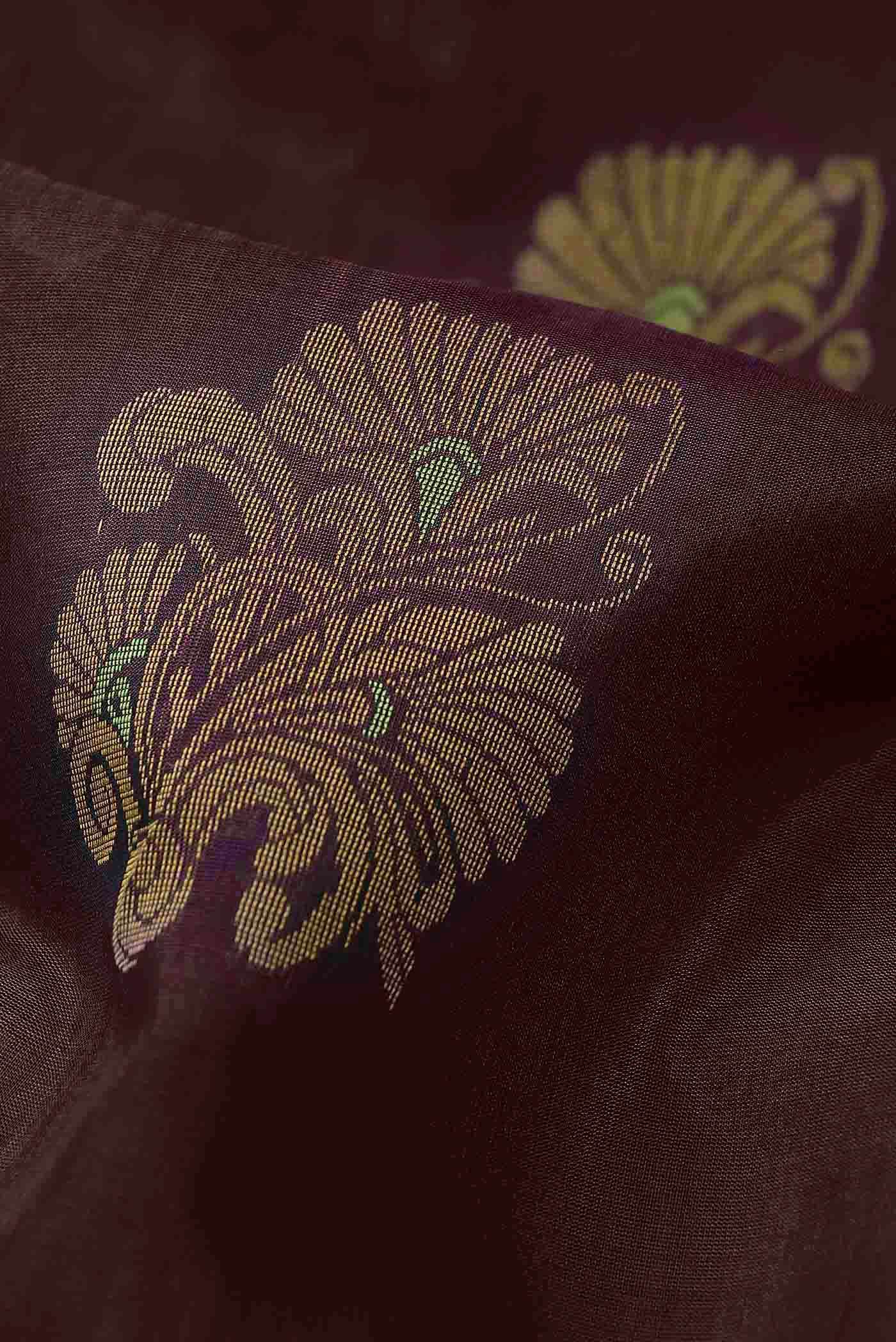 Brown Silk Cotton Saree