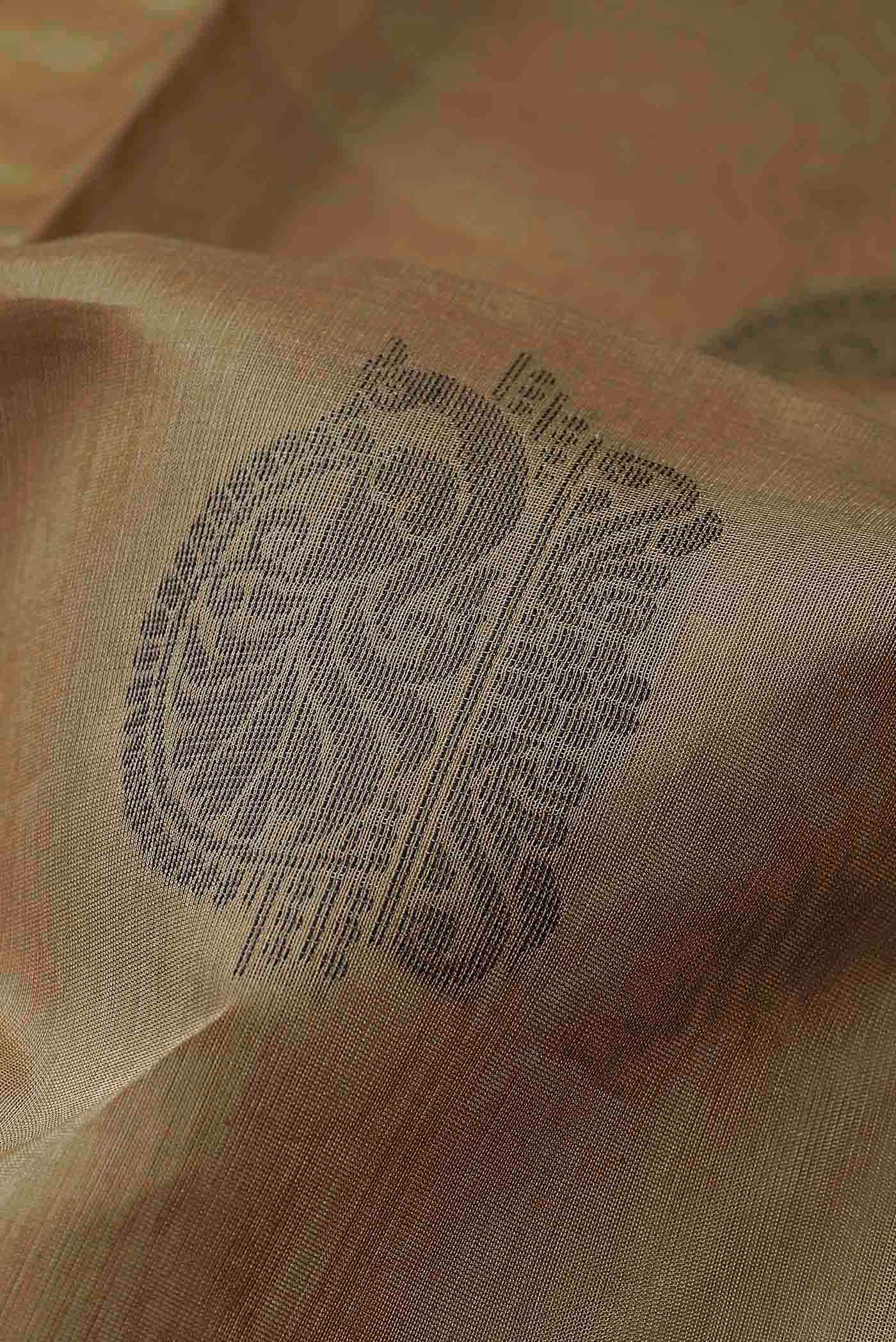 Beige Silk Cotton Saree