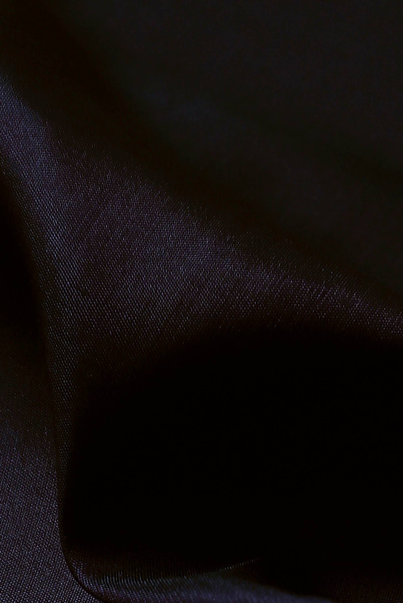 Black Kanchipuram Silk Saree