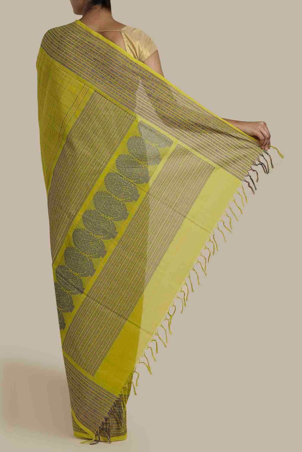 Green Coimbatore Cotton Saree
