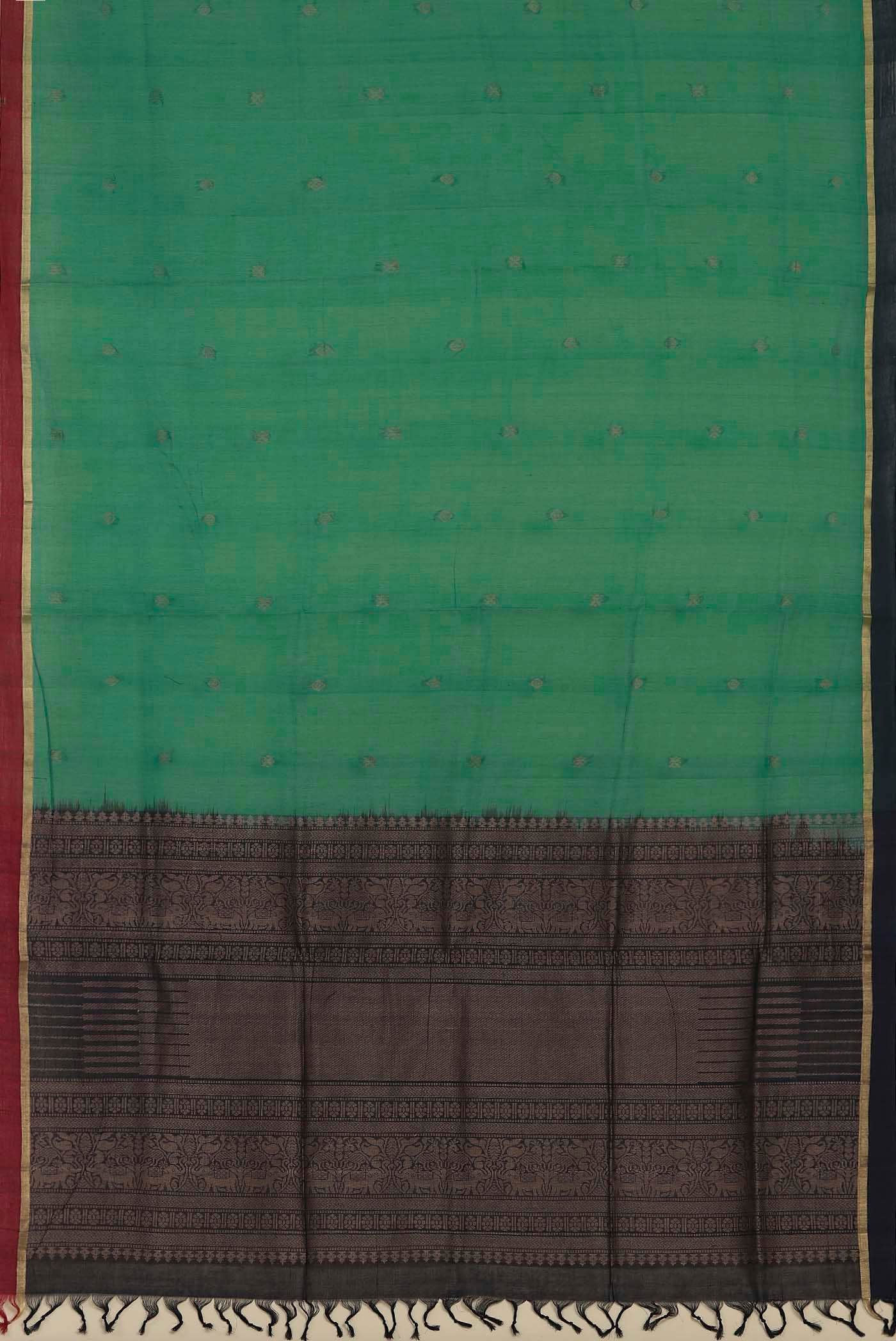 Green Coimbatore Cotton Saree