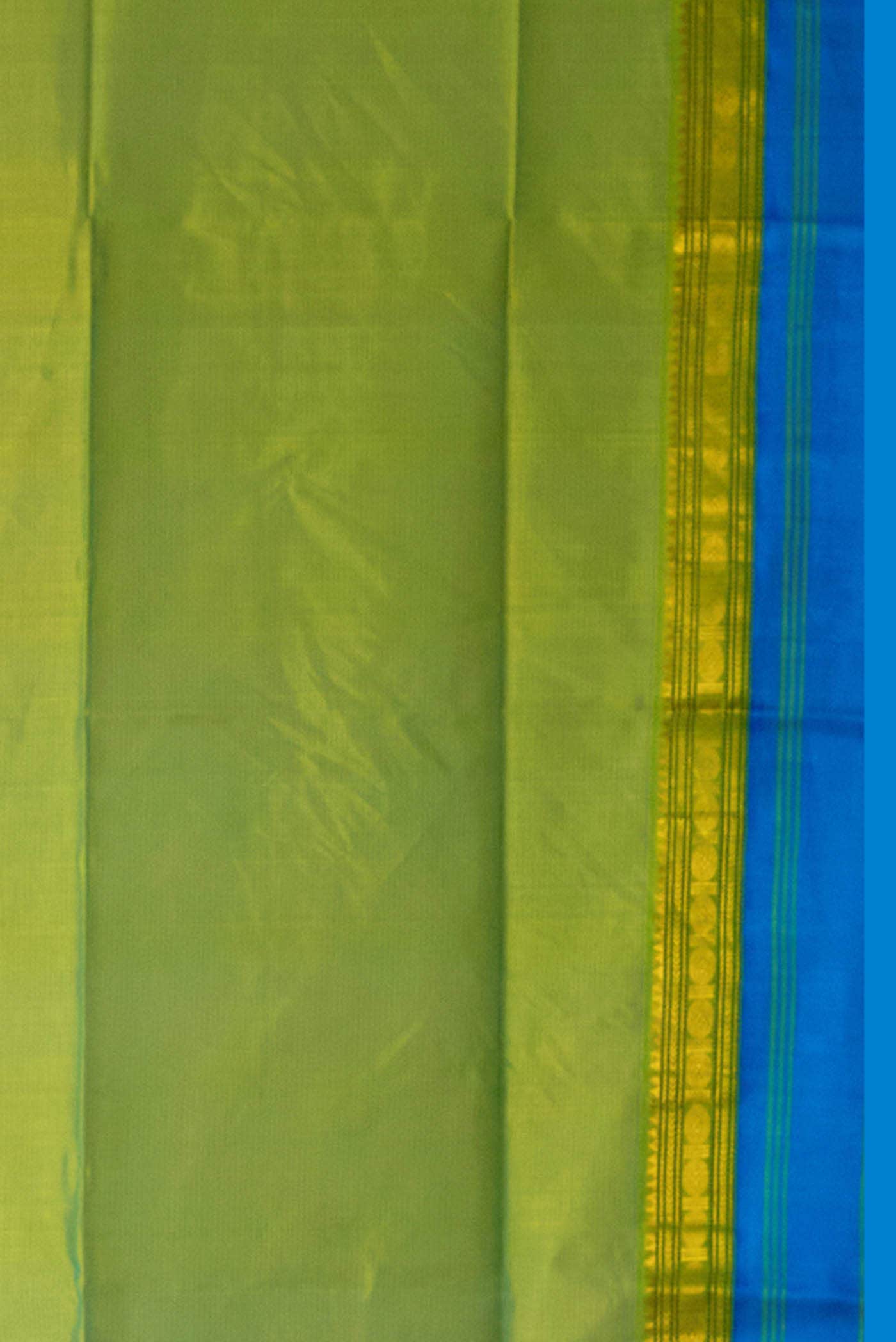 Green Coimbatore Silk Cotton Saree