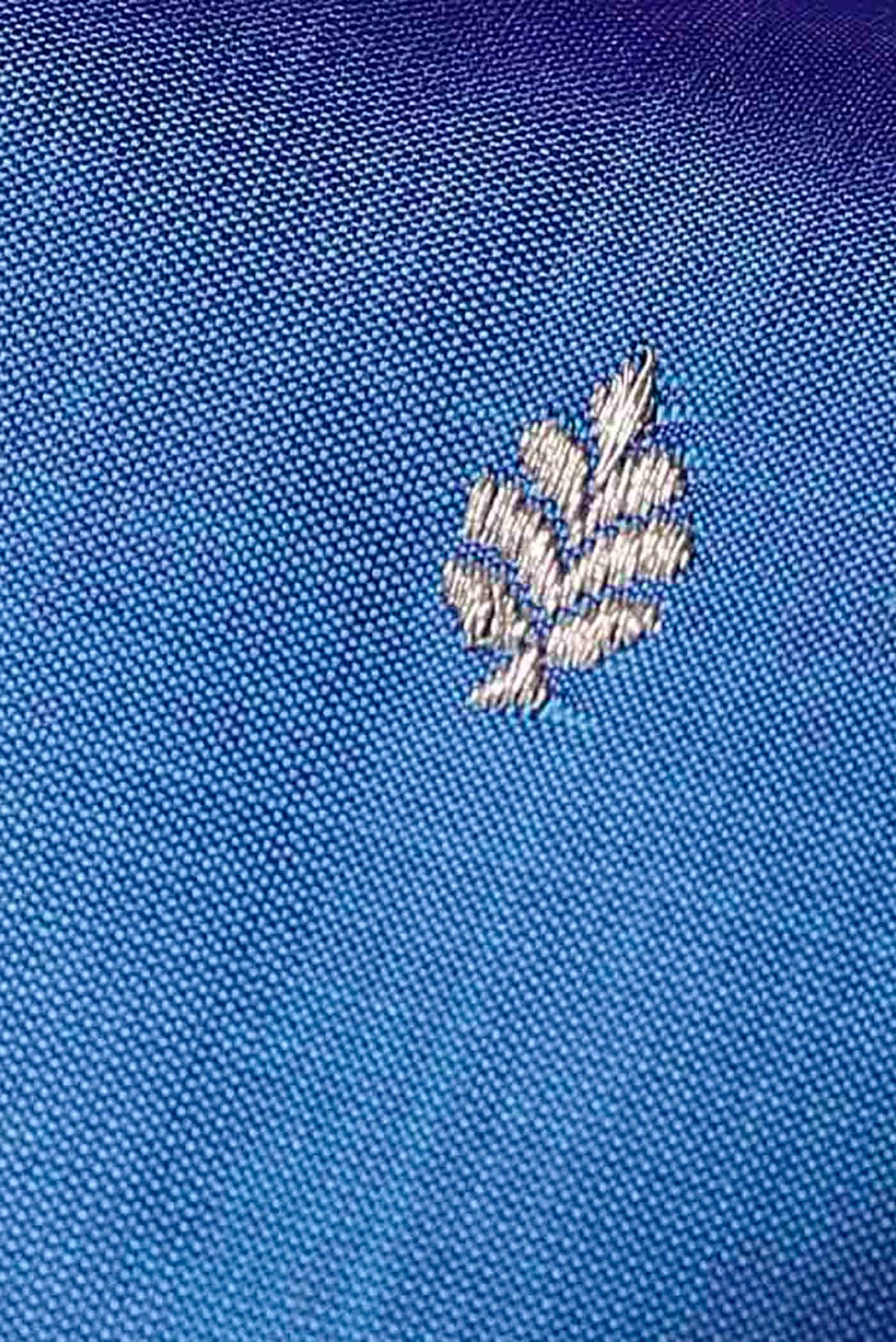 Blue Banarasi Katan Silk Saree