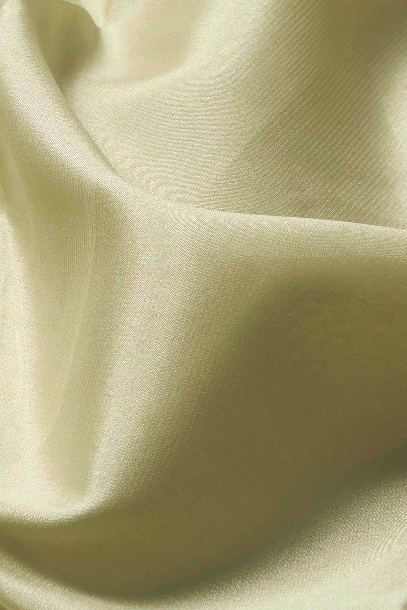 Beige Mysore Crepe Saree