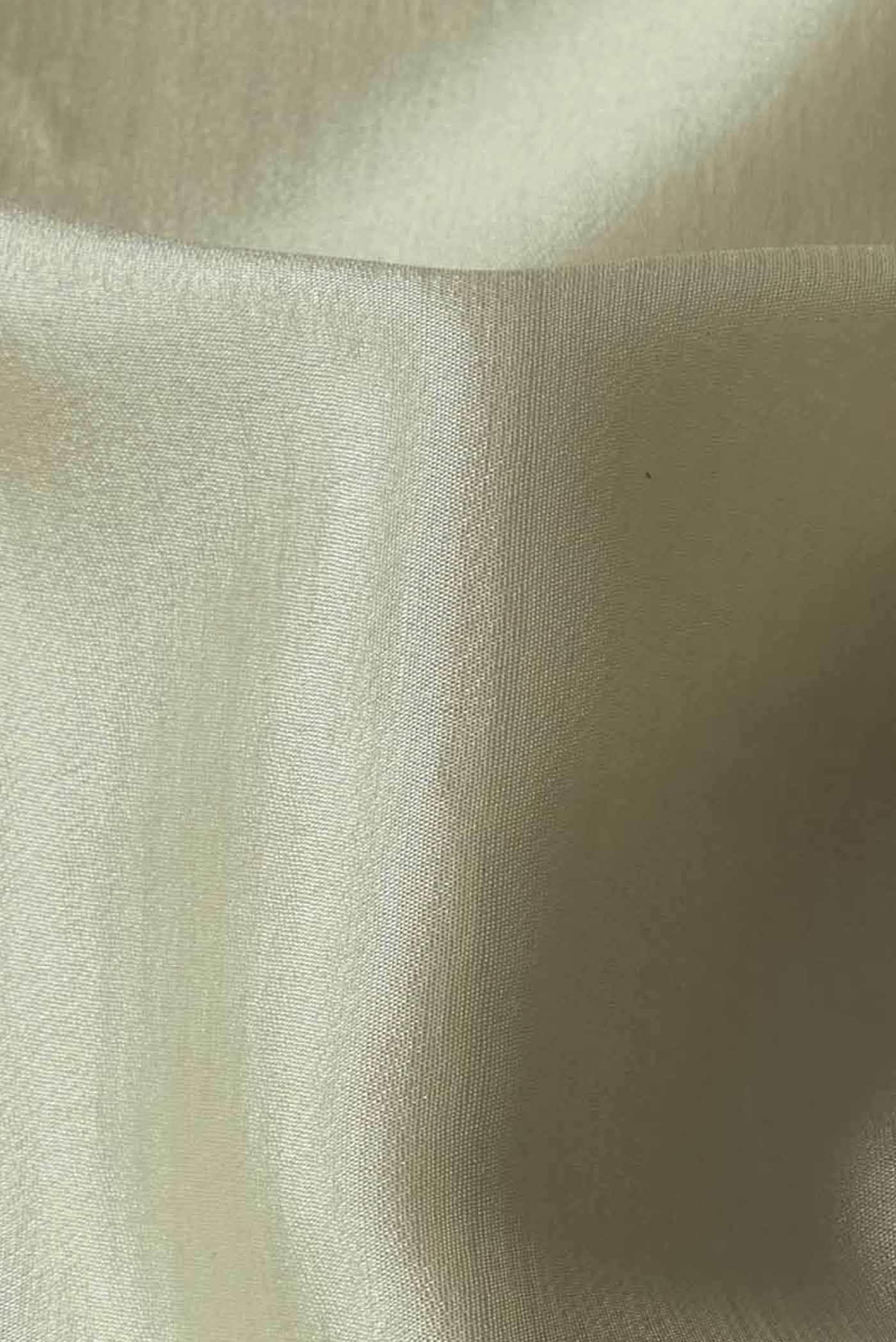 Beige Mysore Crepe Saree
