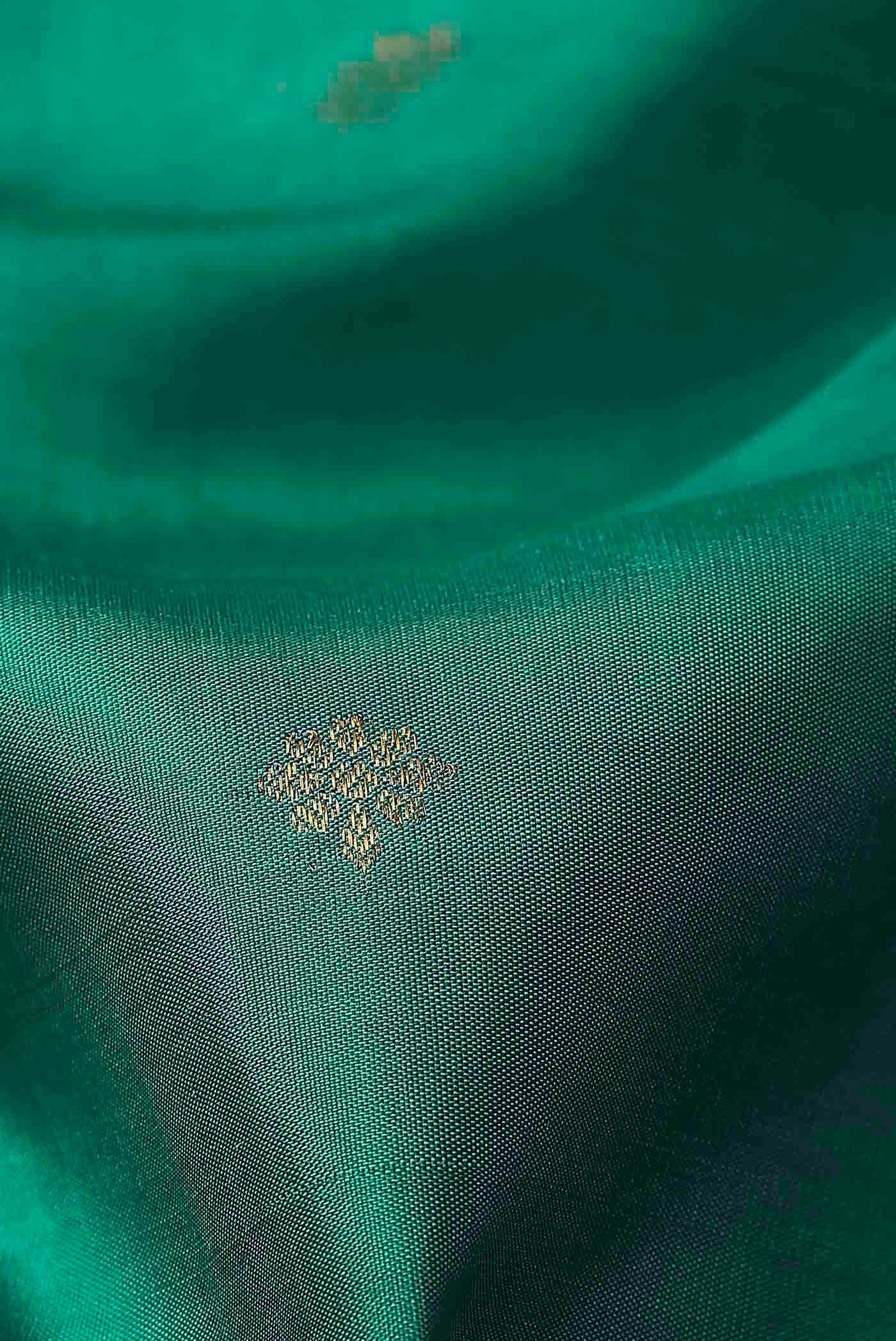 Green Dual Tone Kanchipuram Silk Saree
