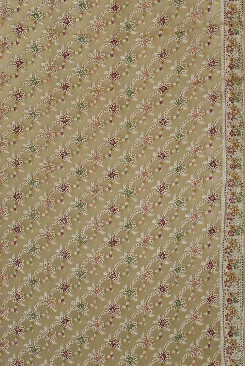 Beige Banarasi Georgette Saree