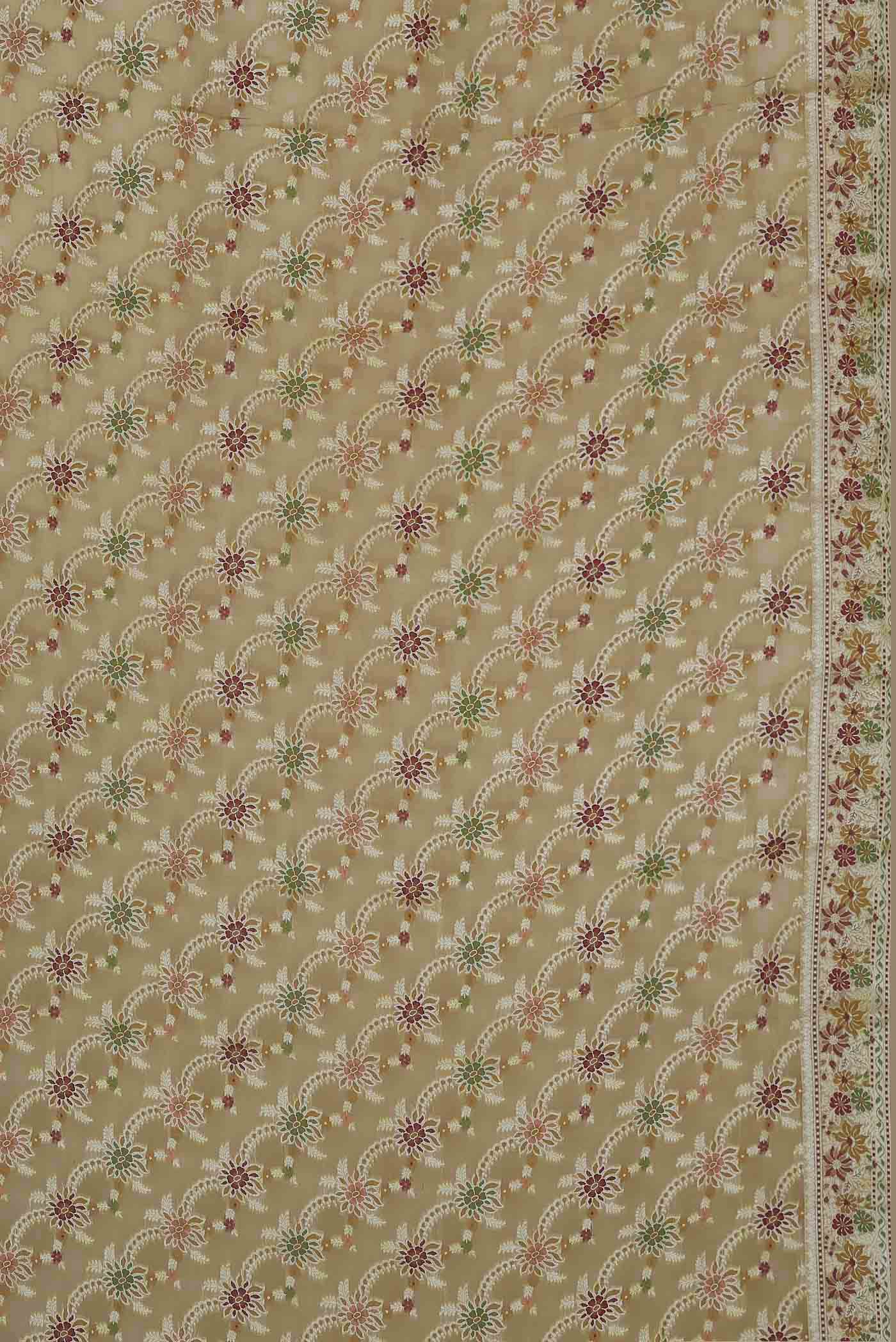 Beige Banarasi Georgette Saree