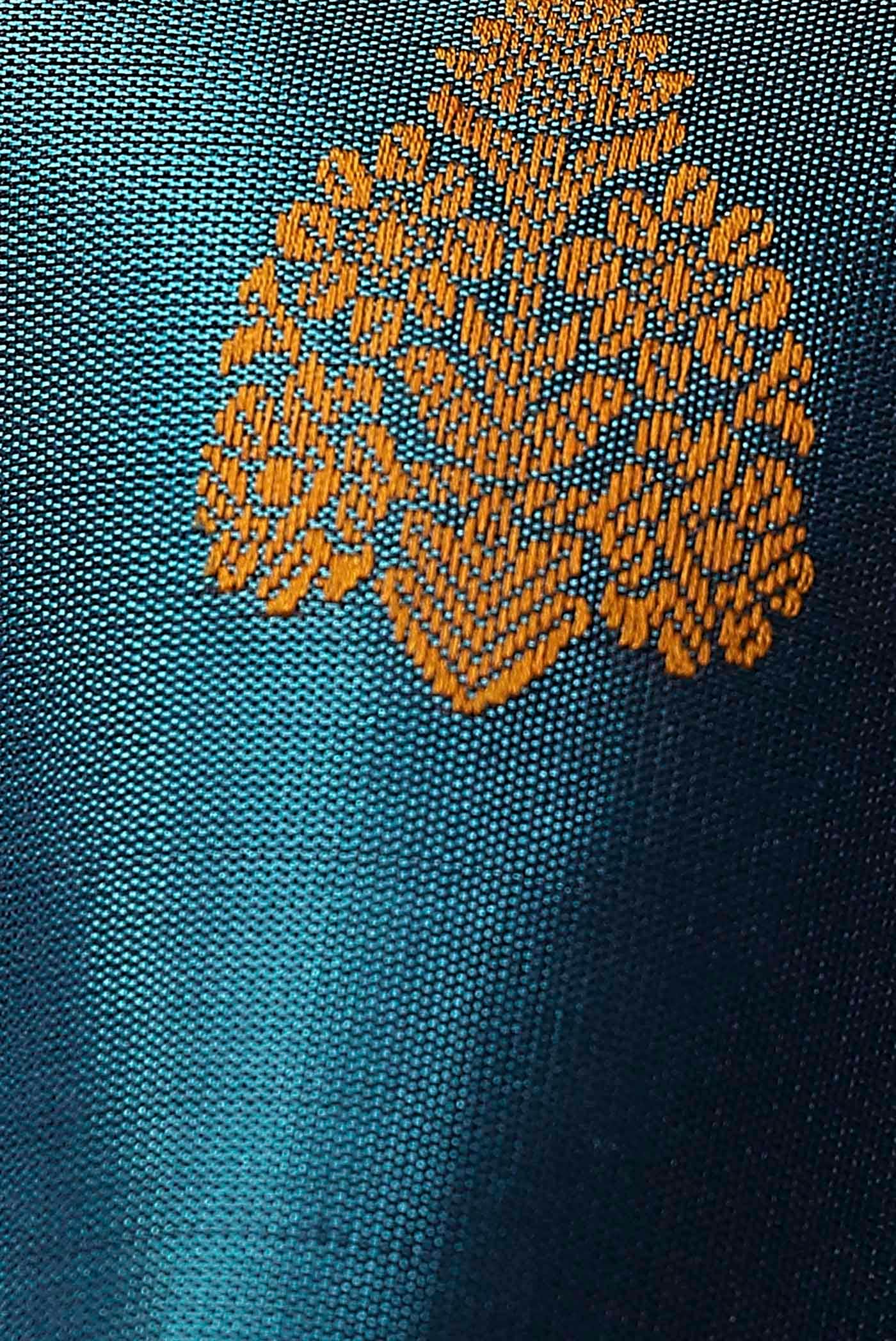 Blue Kanchipuram Silk Saree