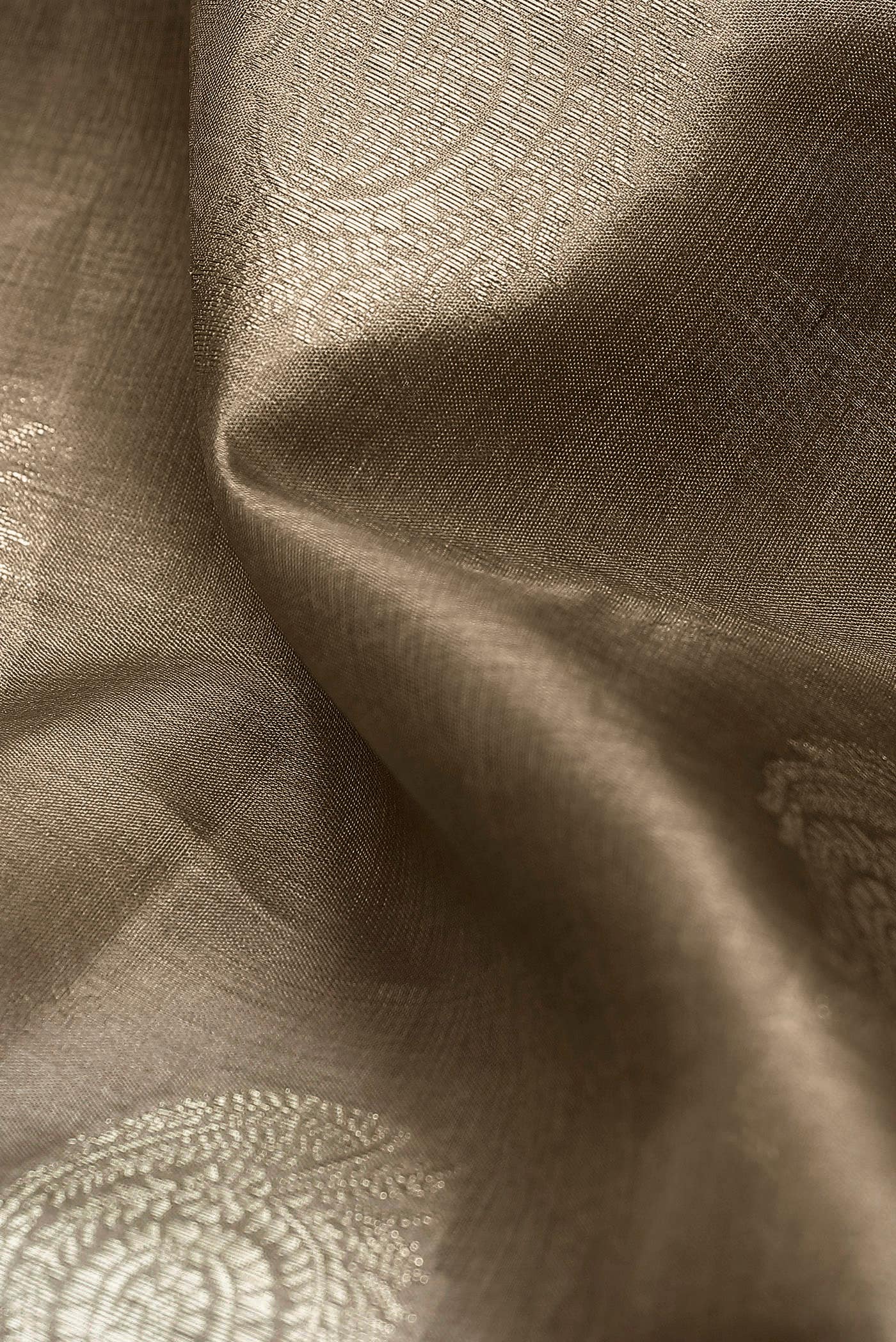 Beige Banarasi Raw Silk Saree