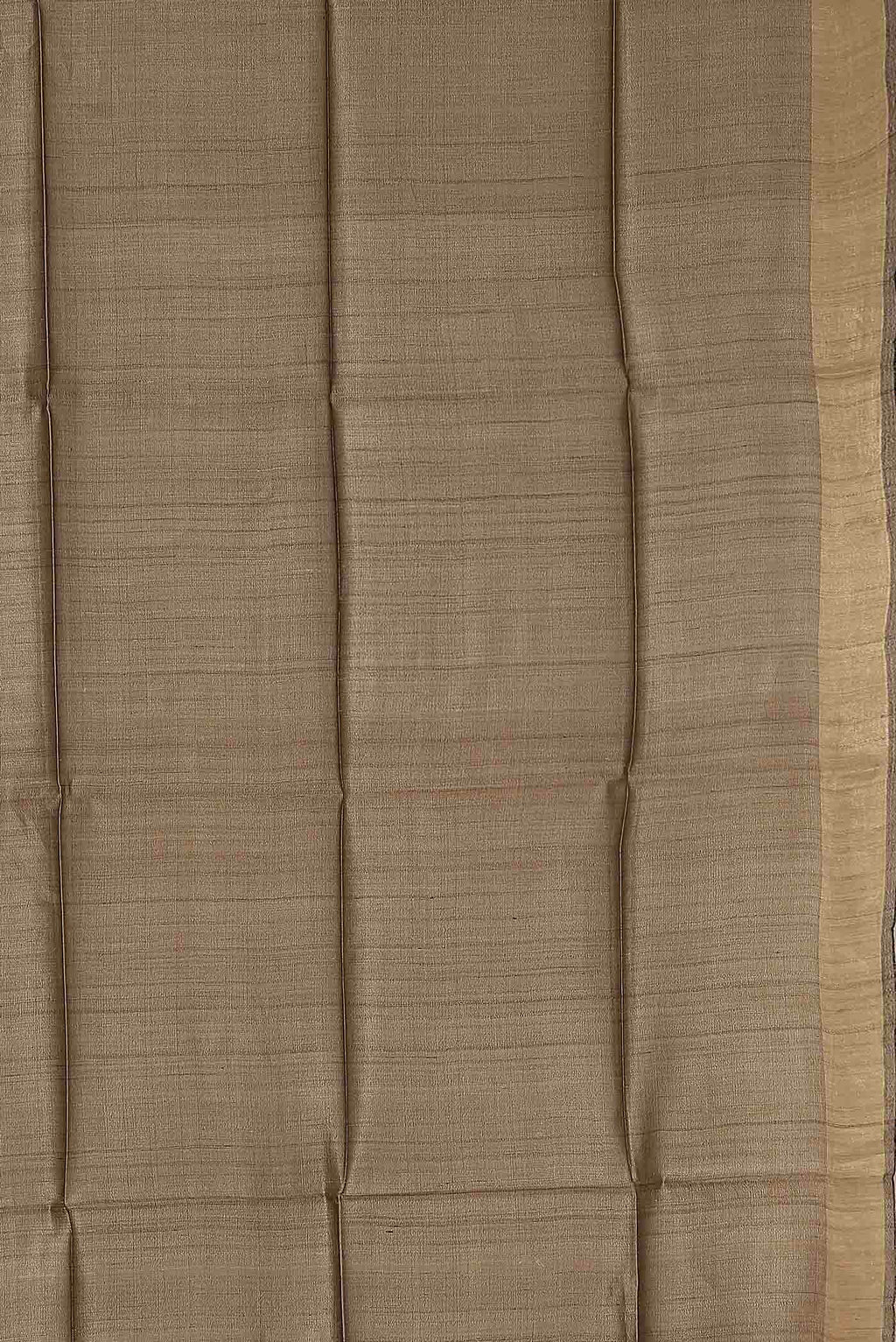 Beige Bhagalpuri Tussar Silk Saree