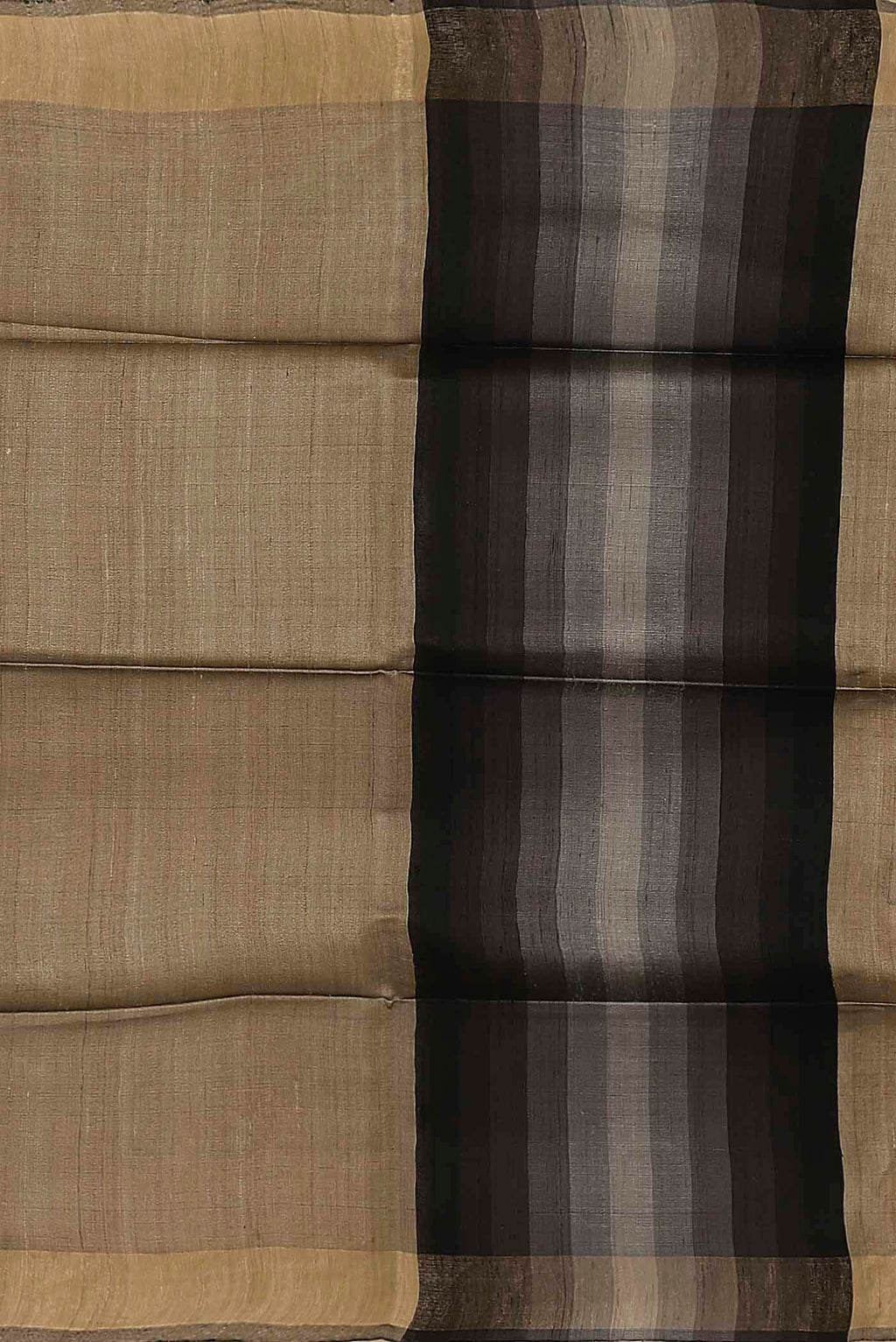 Beige Bhagalpuri Tussar Silk Saree
