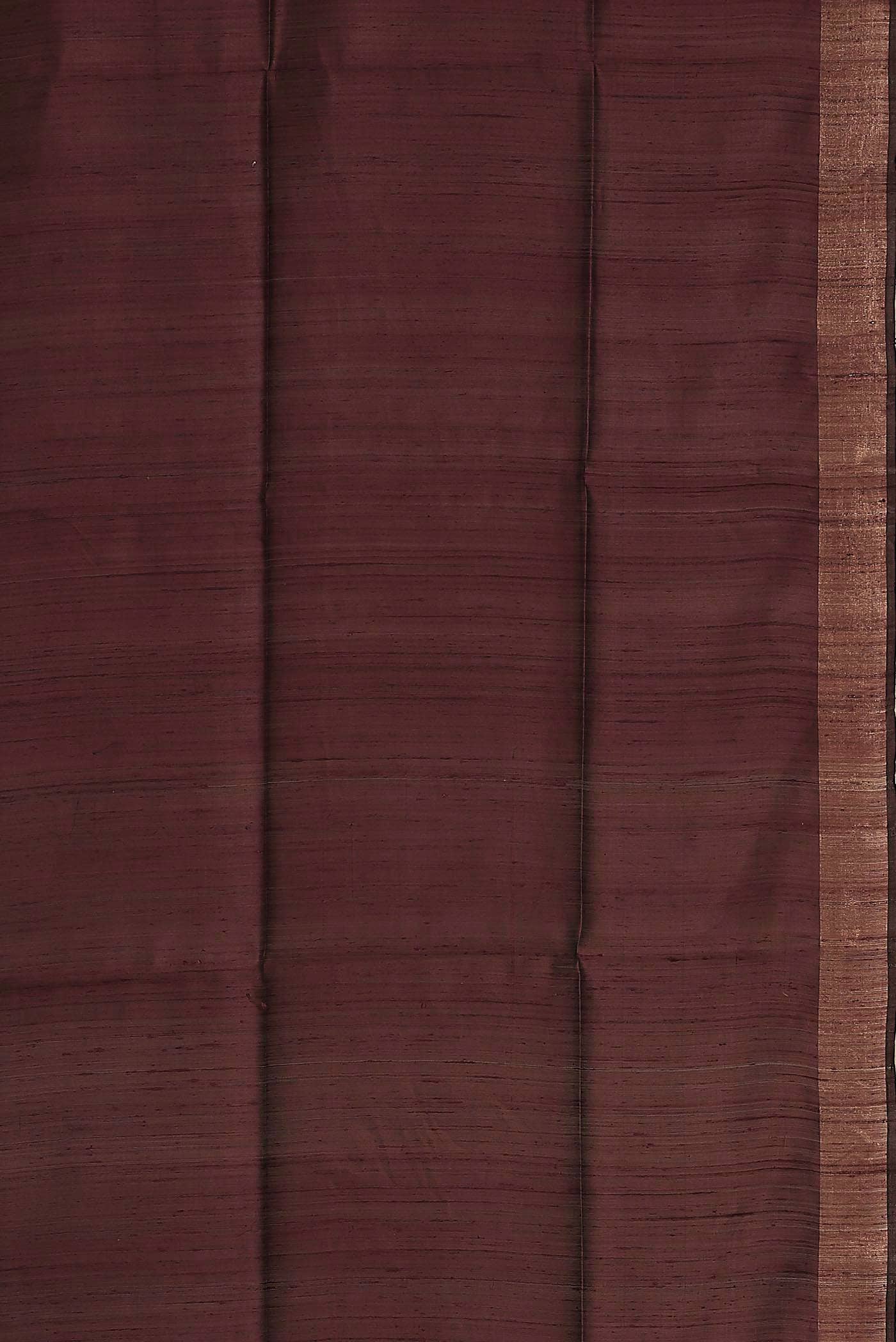 Brown Bhagalpuri Tussar Silk Saree