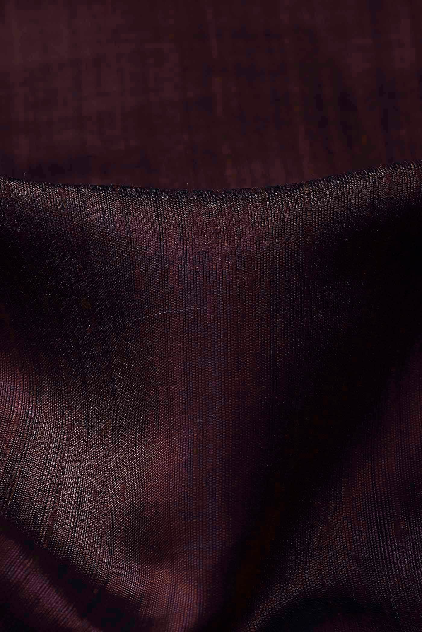 Brown Bhagalpuri Tussar Silk Saree