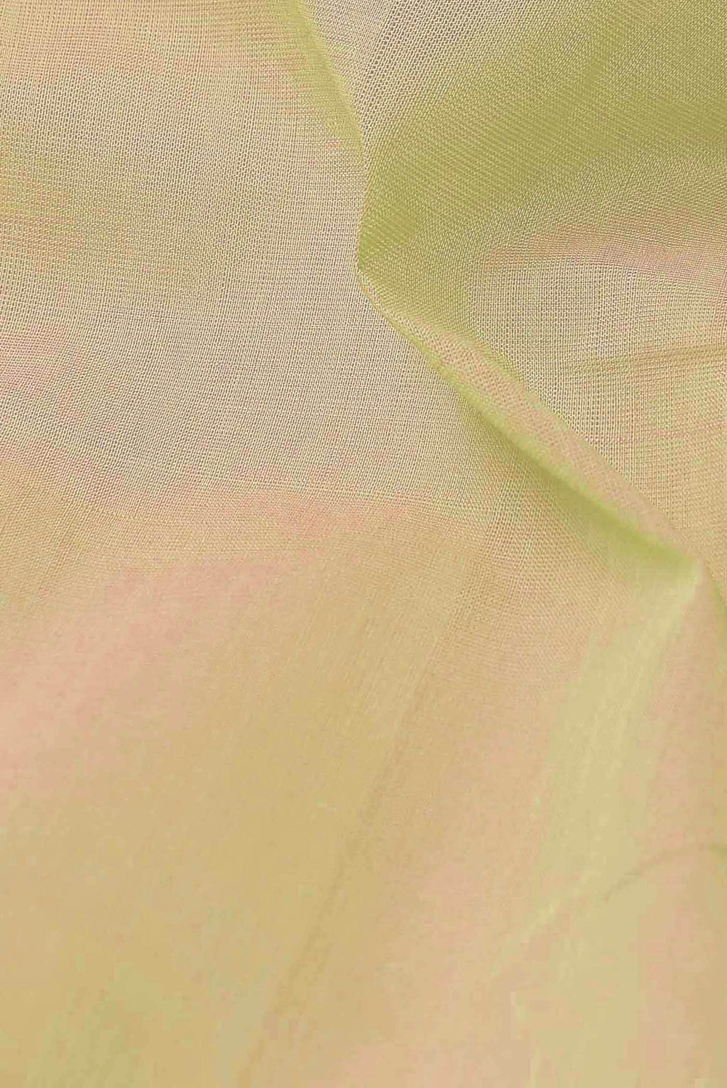 Beige Kanchipuram Silk Saree