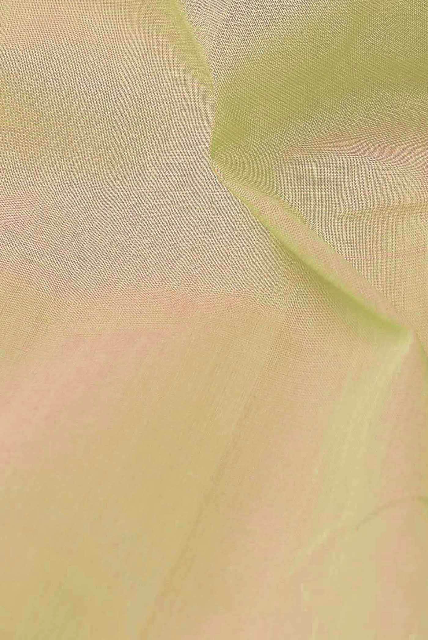 Beige Kanchipuram Silk Saree