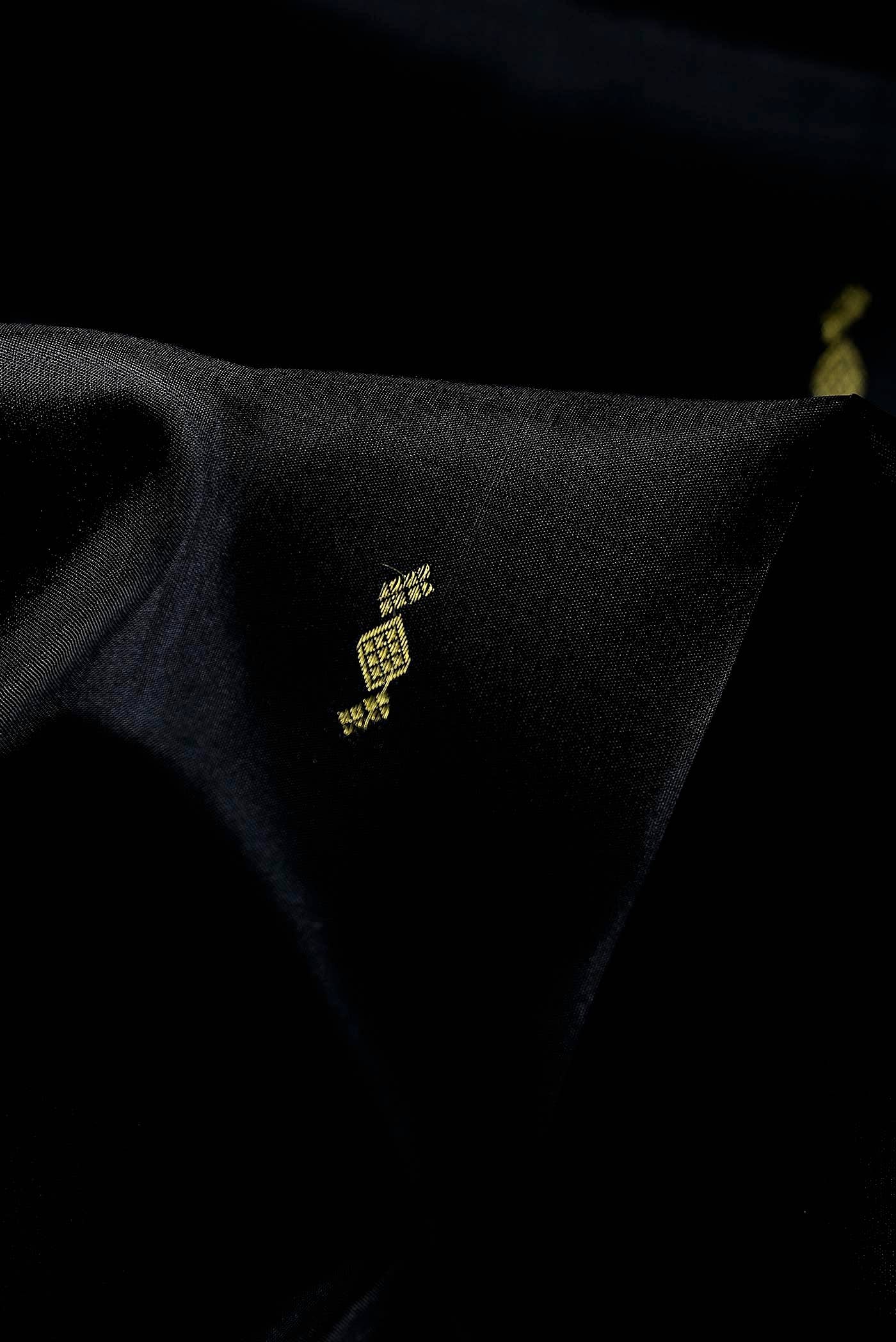 Black Kanchipuram Silk Saree