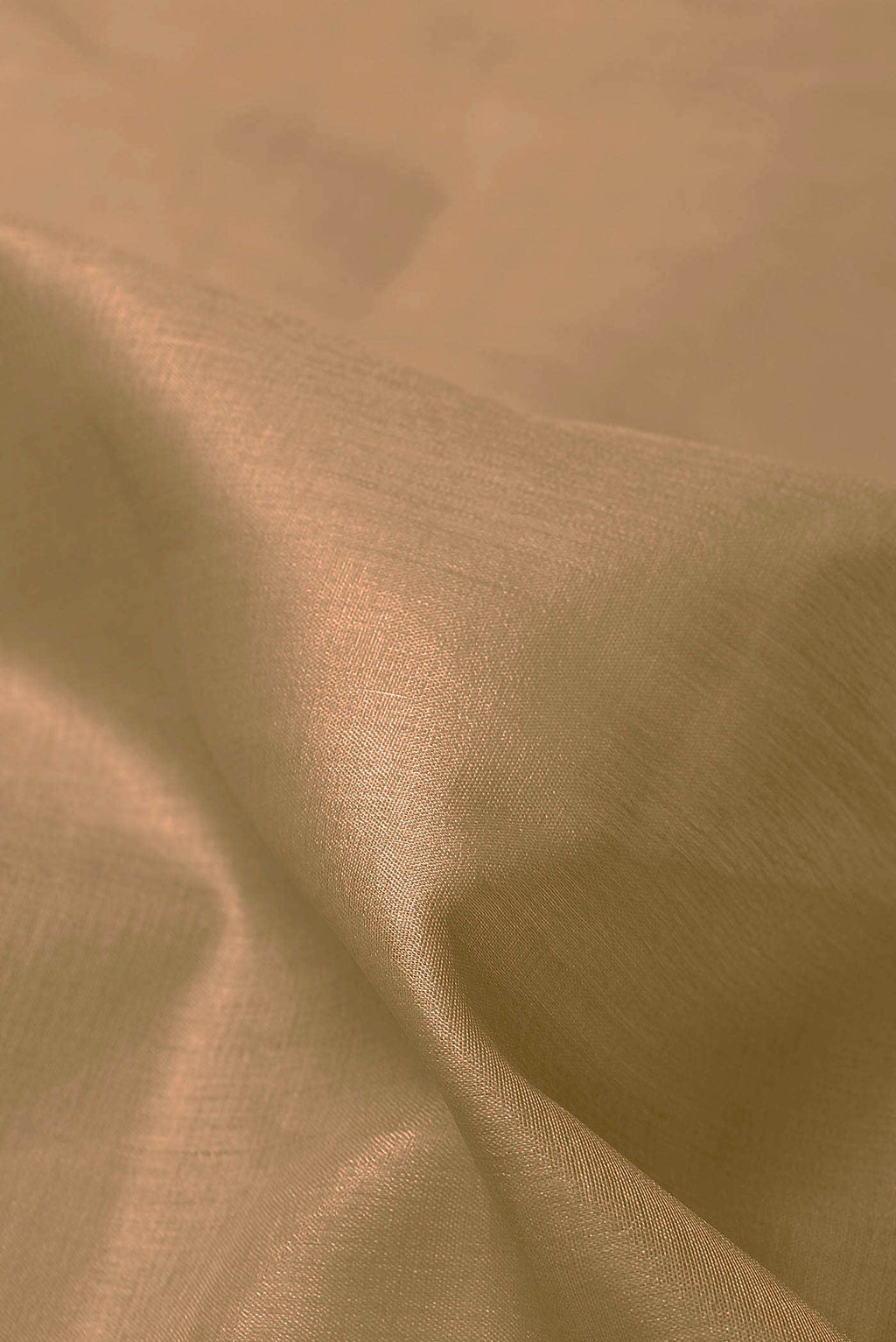 Beige Banarasi Tussar Silk Saree