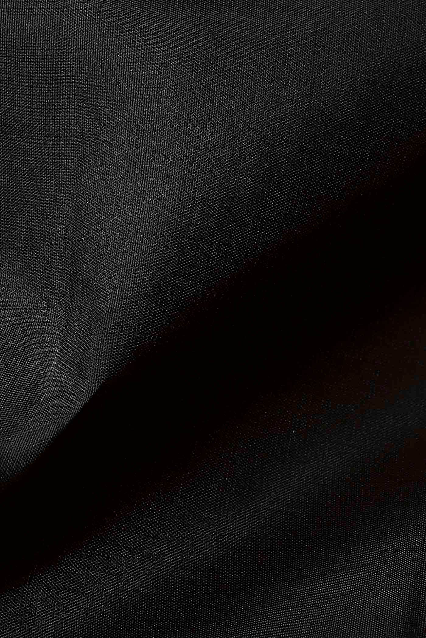 Black Kanchipuram Silk Saree