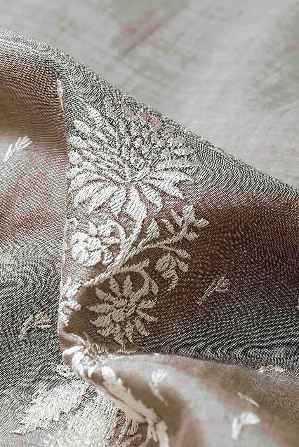 Beige Bhagalpuri Tussar Silk Saree