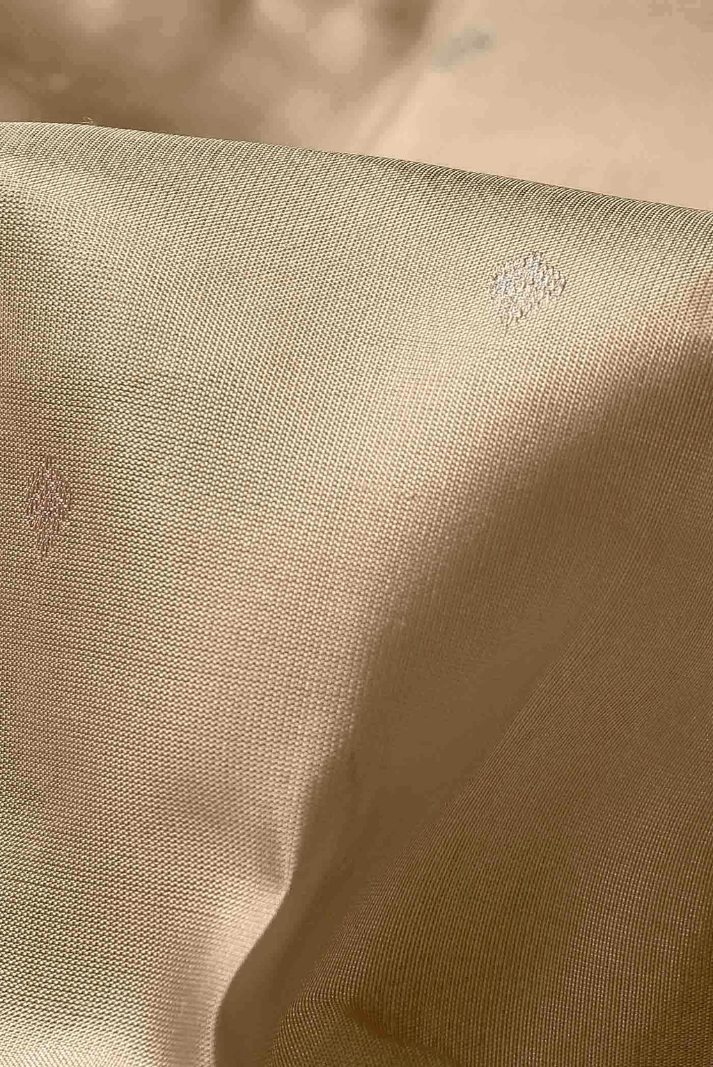 Beige Kanchipuram Silk Saree