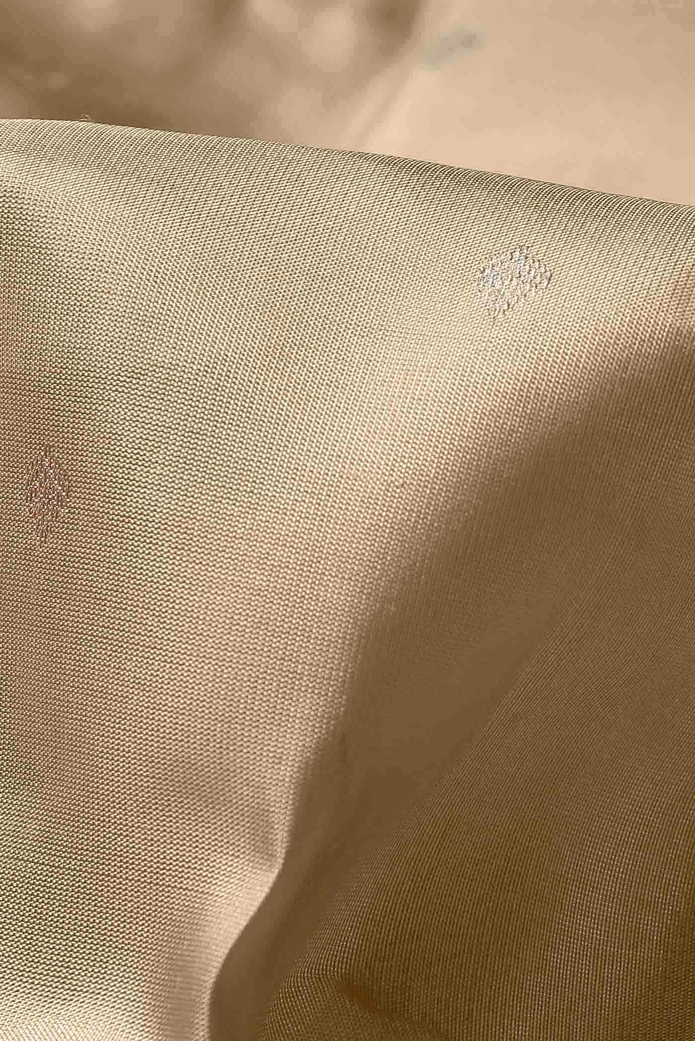 Beige Kanchipuram Silk Saree