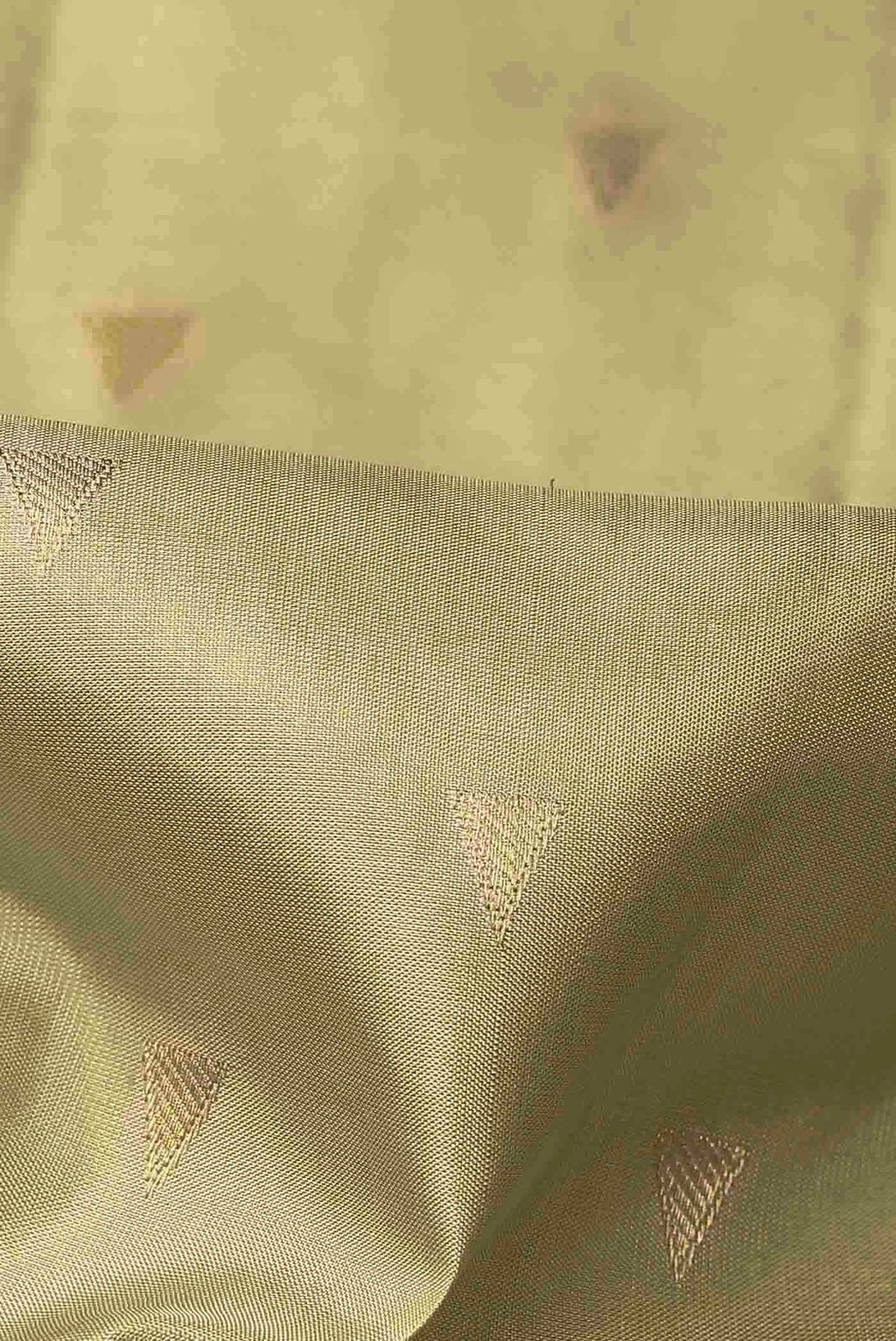 Beige Kanchipuram Silk Saree
