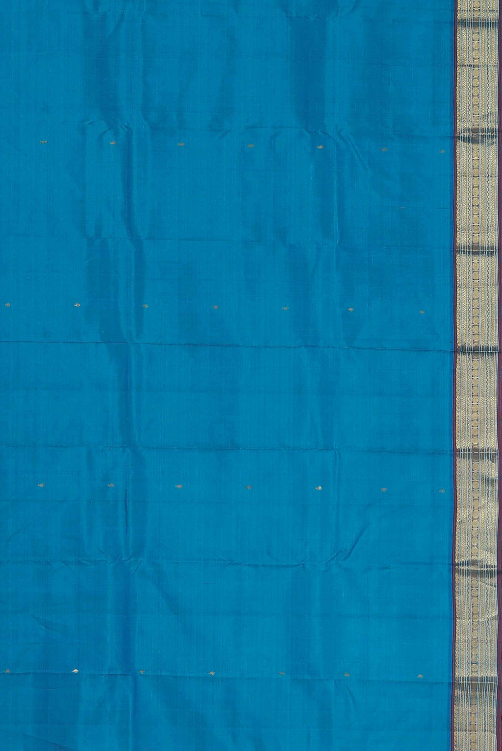 Blue Kanchipuram Silk Saree