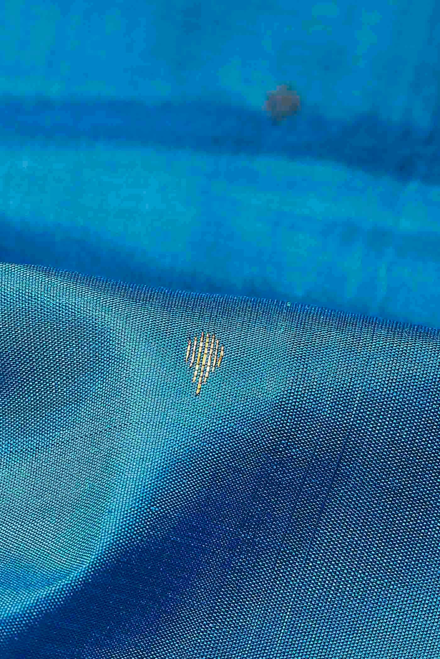 Blue Kanchipuram Silk Saree
