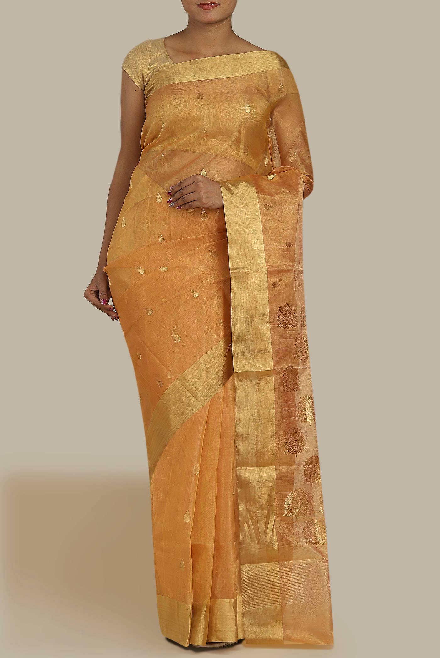 Yellow Chanderi Tissue Silk Cotton Saree