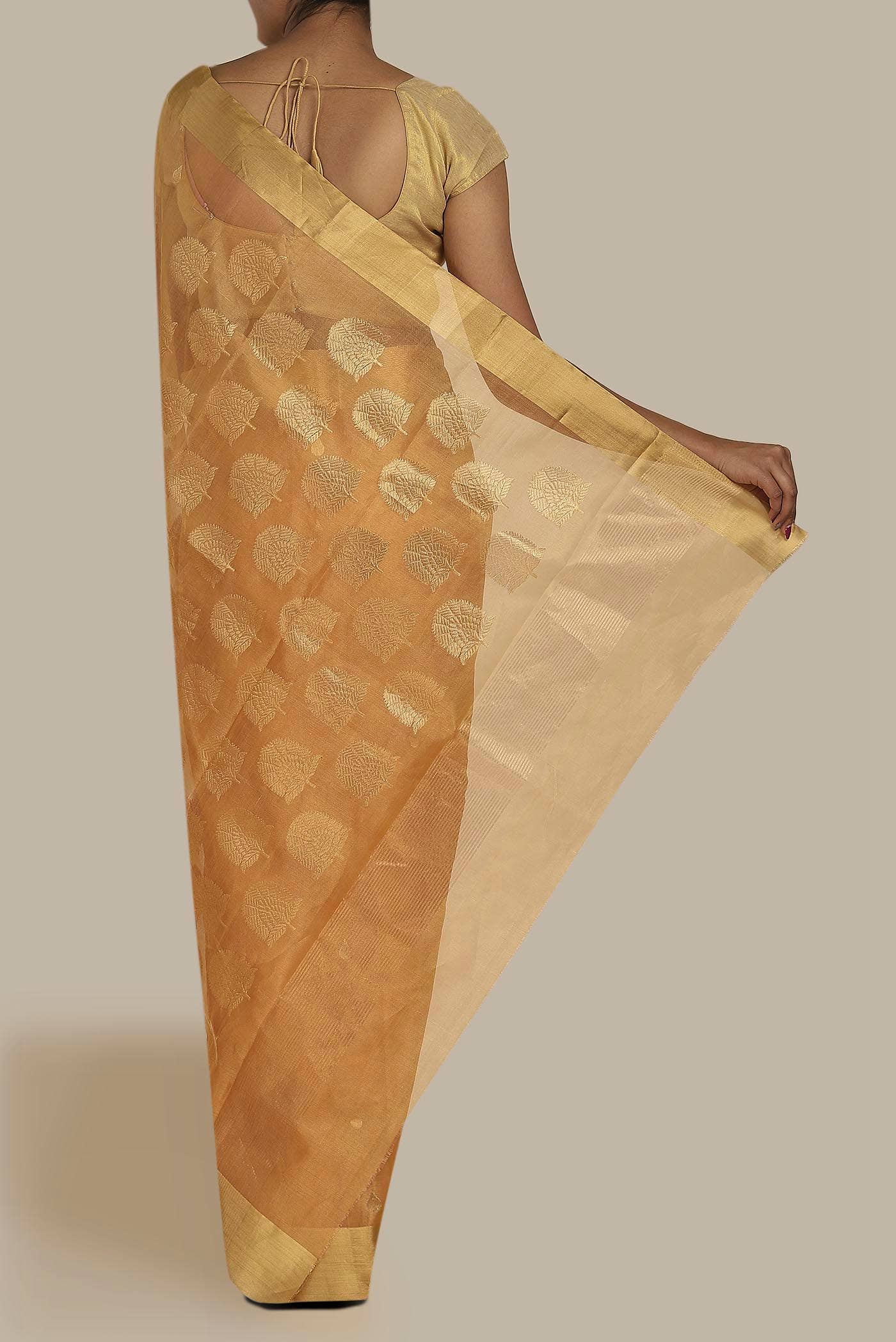 Yellow Chanderi Tissue Silk Cotton Saree
