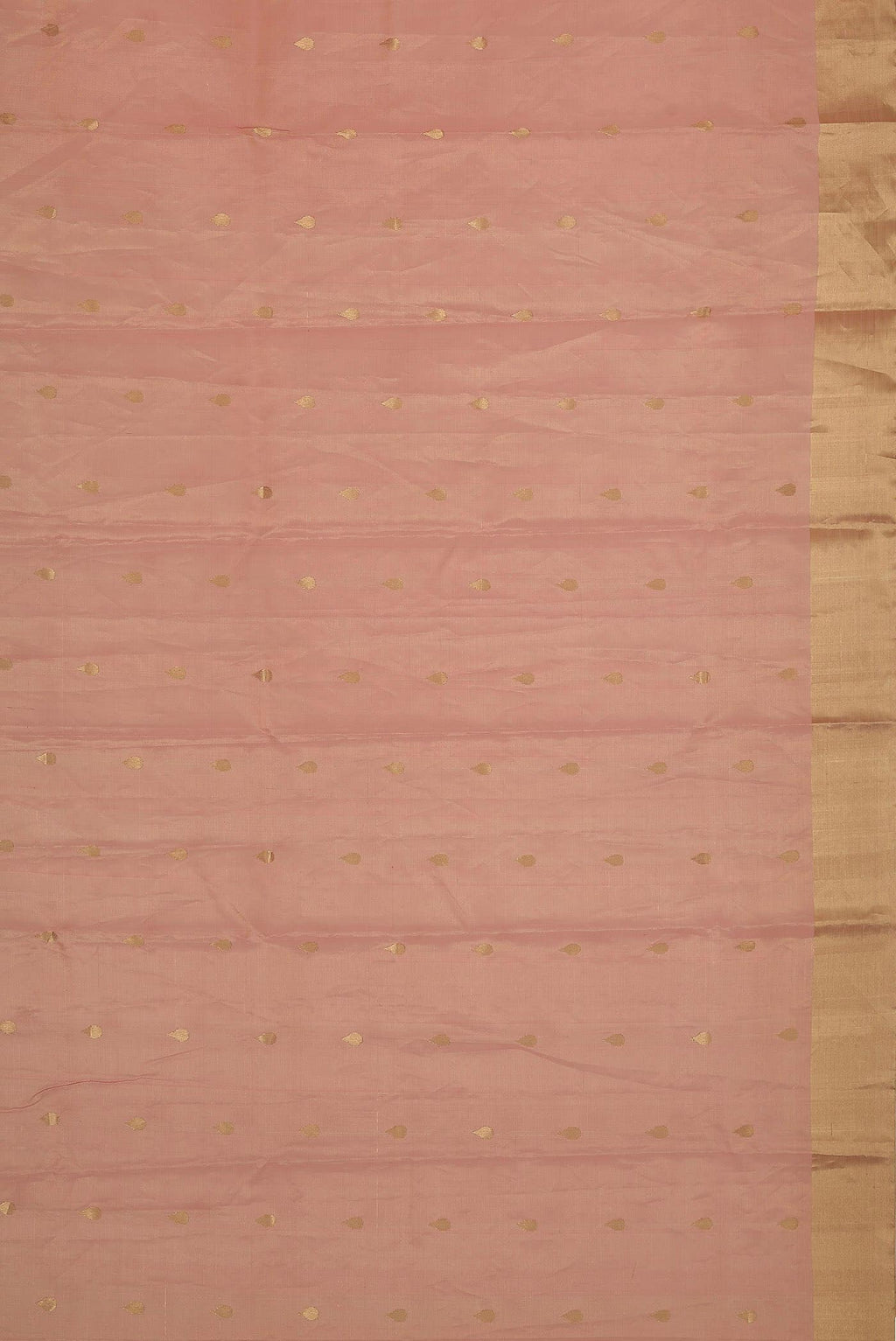 Coral Chanderi Tissue Silk Cotton Saree