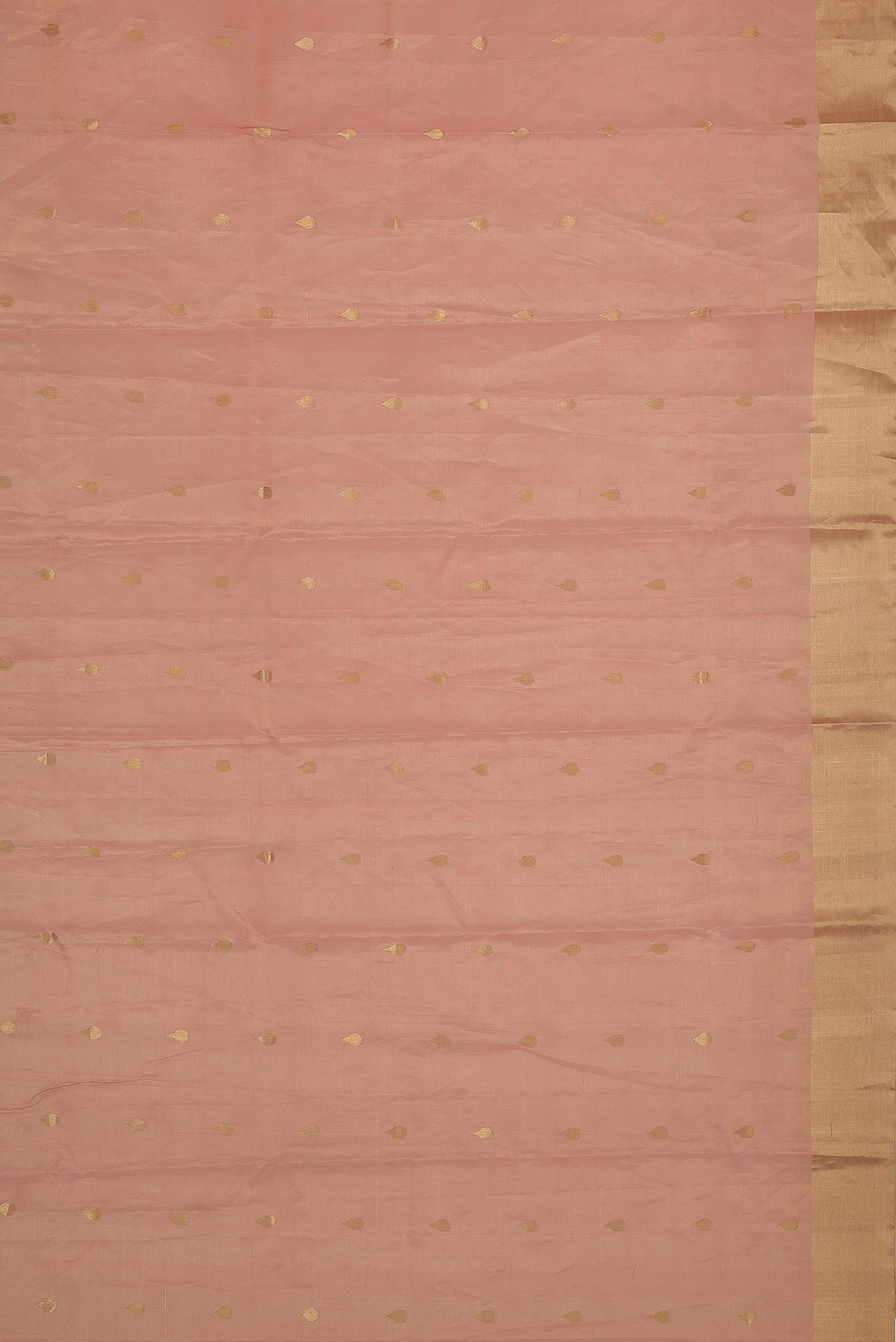 Coral Chanderi Tissue Silk Cotton Saree
