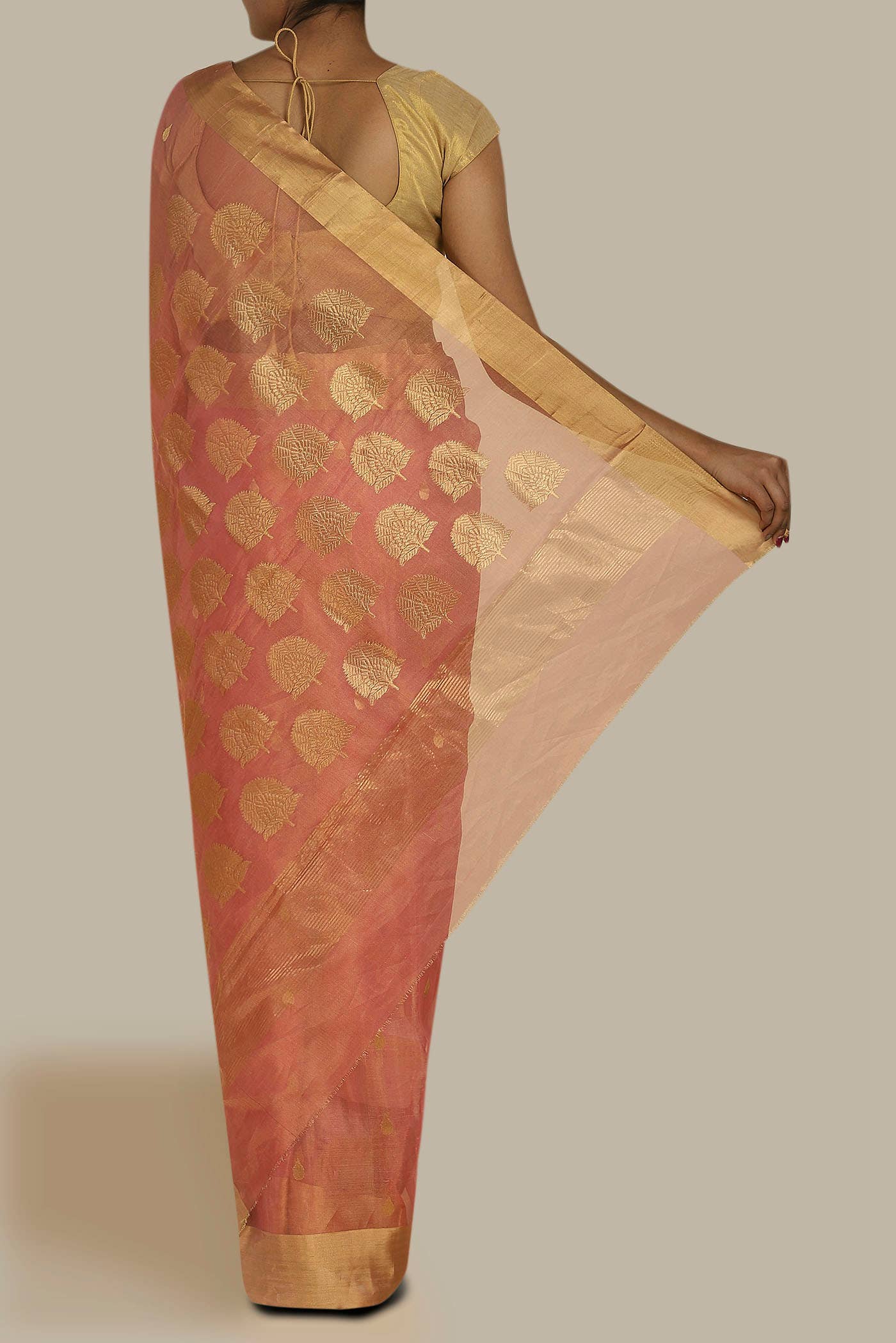 Coral Chanderi Tissue Silk Cotton Saree