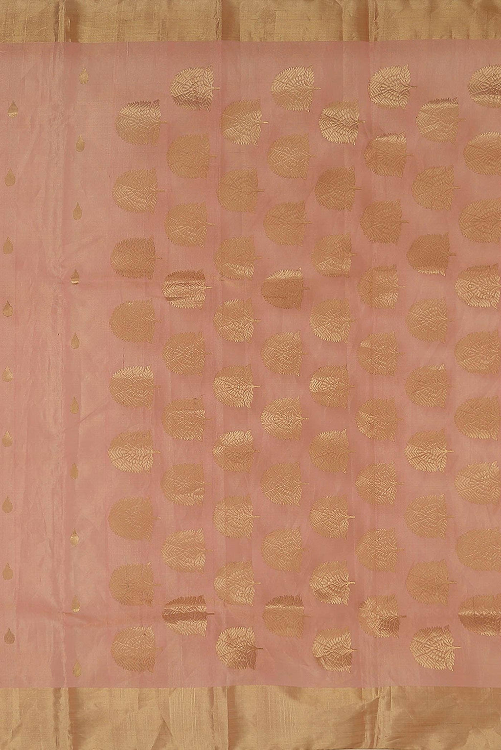 Coral Chanderi Tissue Silk Cotton Saree