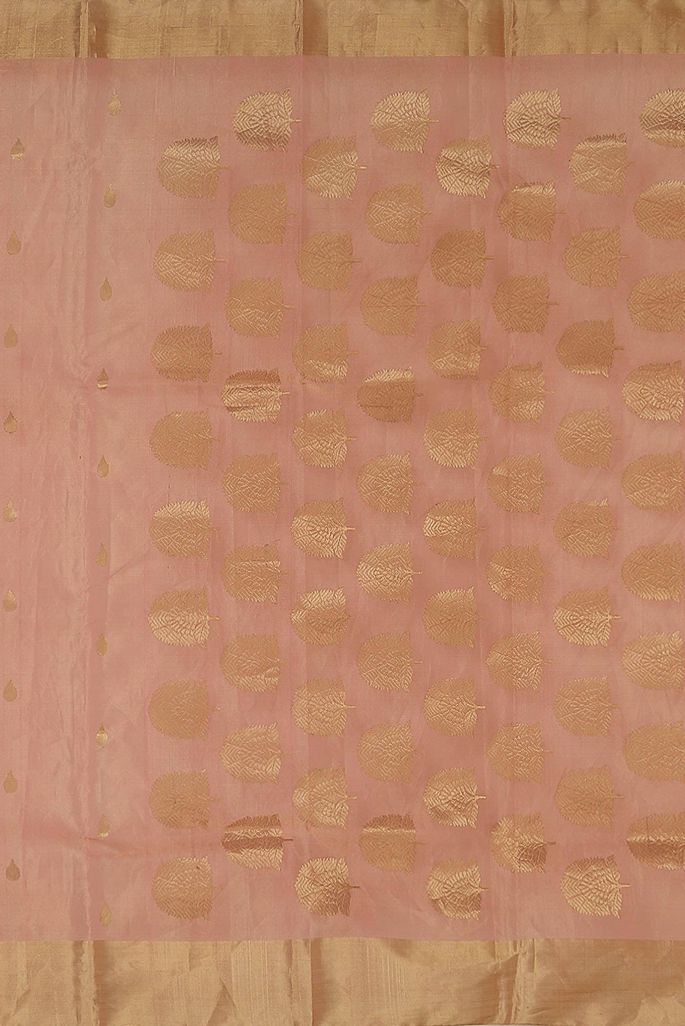 Coral Chanderi Tissue Silk Cotton Saree