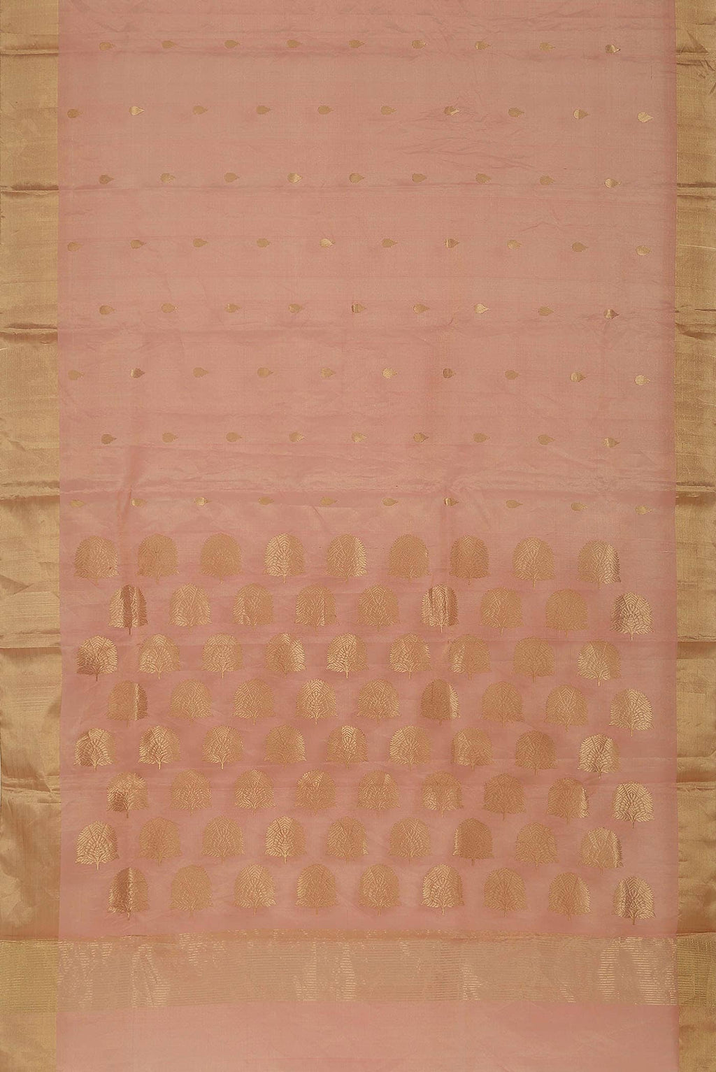 Coral Chanderi Tissue Silk Cotton Saree